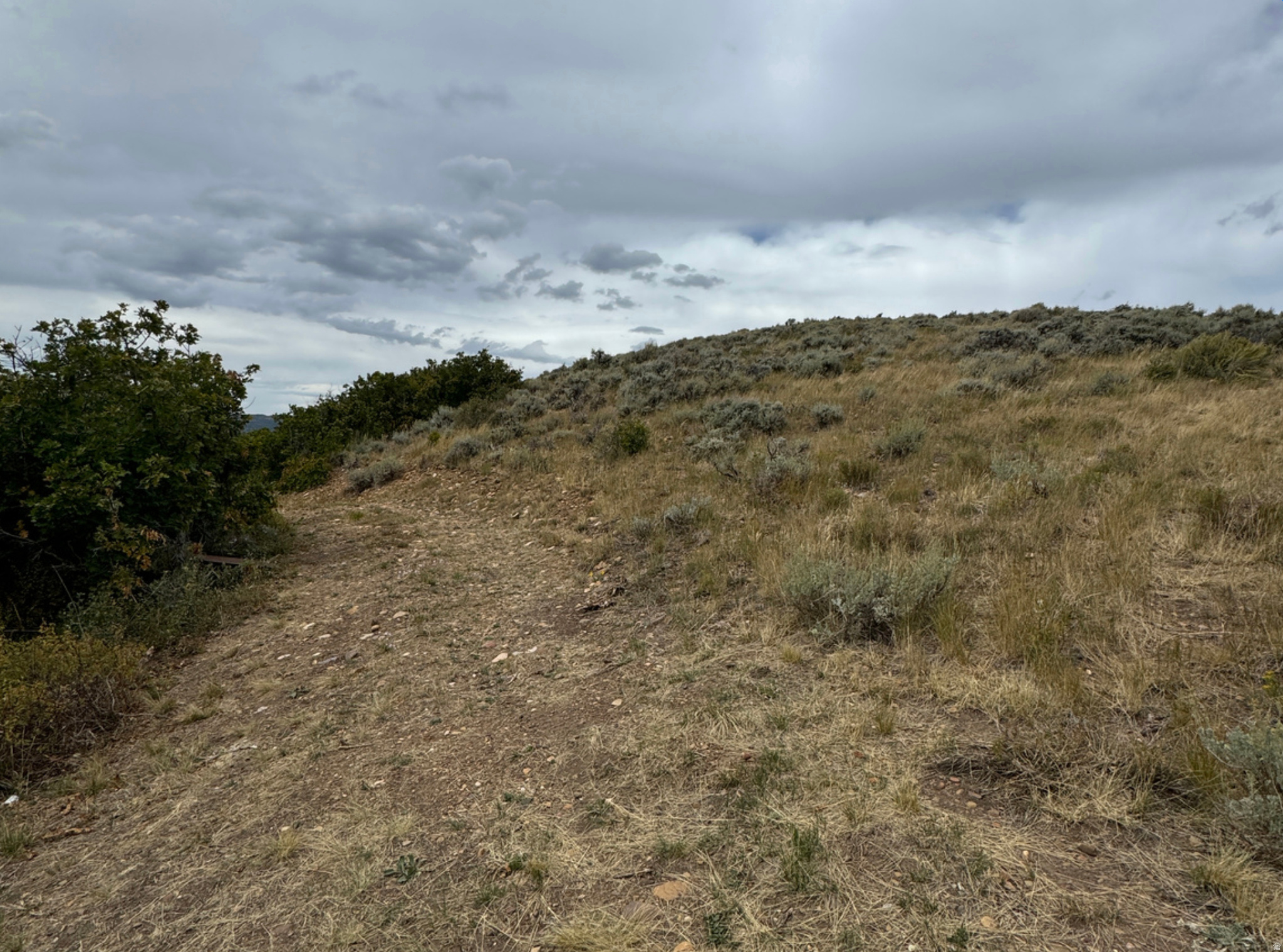 ECHO CREEK RANCHES - Land