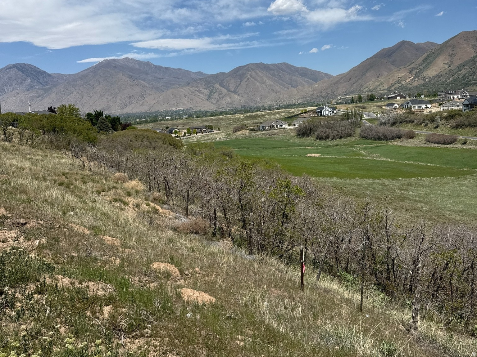Lot 260--Mapleton Heights Now Available!  Surrounded by beautiful neighborhoods and mountains.  Exclusive estate lots with mountain and valley views. Location offers easy access to Spanish Fork Canyon, Spanish Fork Hospital, Costco, Super WalMart, Highway 6, EXCELLENT SCHOOLS, the Mapleton Parkway Trail, parks and open space and local amenities. Ready to build your custom home. Taxes have not been assessed.