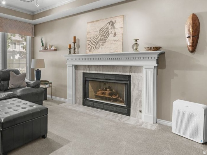 MILL HOLLOW - Residential