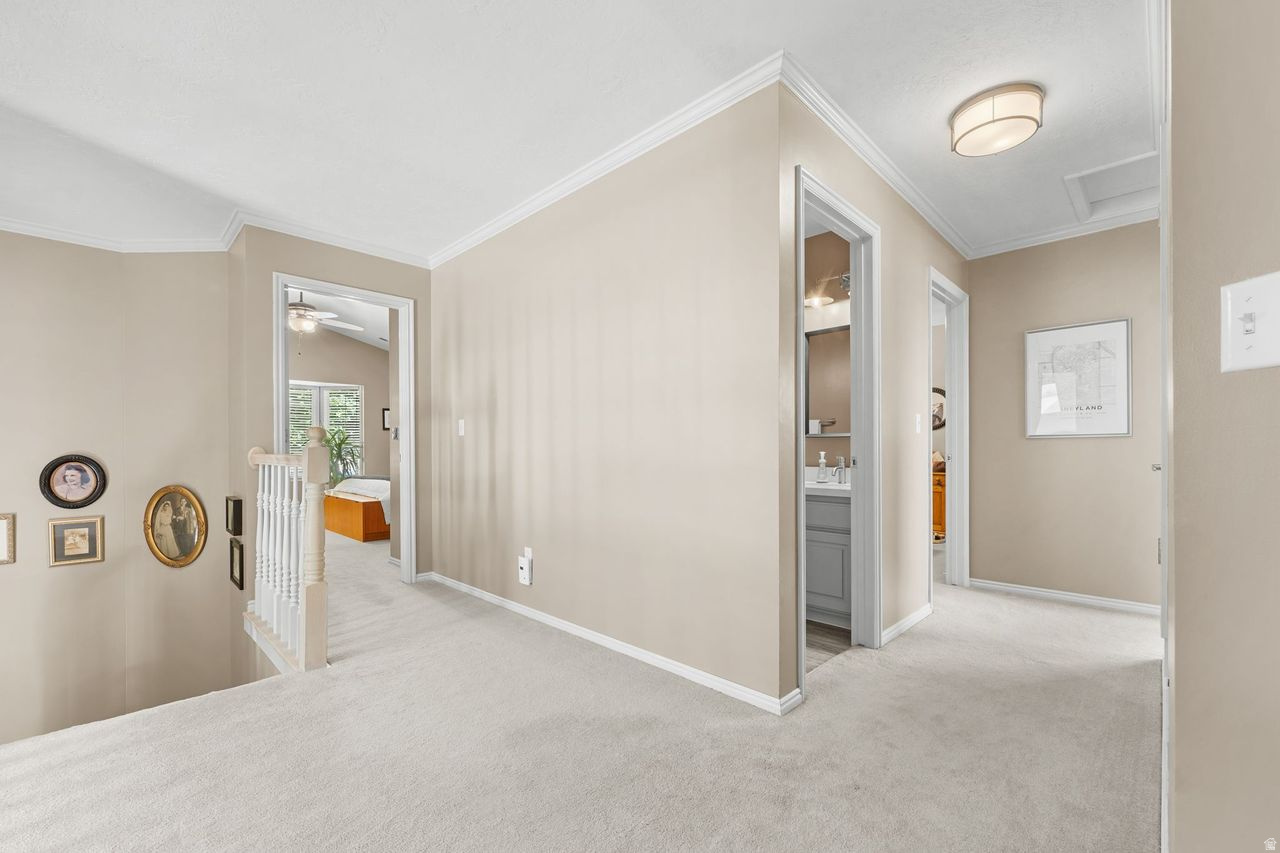MILL HOLLOW - Residential