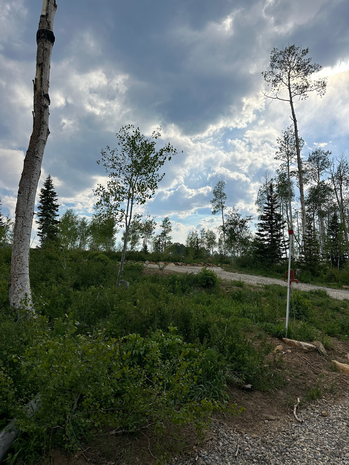 FAIRVIW LAKES - Land