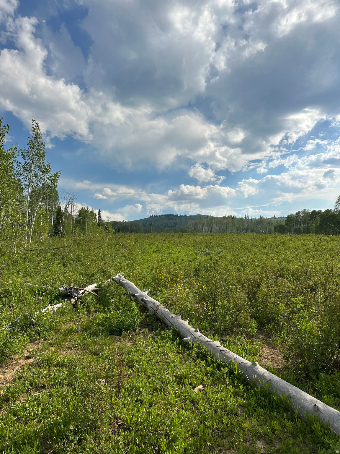 FAIRVIW LAKES - Land