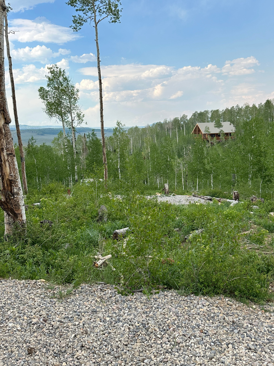 FAIRVIW LAKES - Land