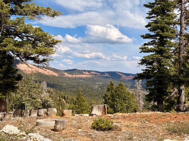 There are two addresses and two parcels here. 5535 W. Mountain Lion Dr. and 5540 W. Mountain Lion Dr. Duck Creek Village Utah. Surrounded by towering pines and fresh mountain air, this incredible land offers approximately .50 acre of buildable space with RV pads-perfect for creating your dream cabin retreat, vacation getaway, or year-round mountain escape.  Enjoy breathtaking panoramic views stretching all the way to Zion National Park, where colorful cliffs and endless skies create unforgettable sunsets and peaceful mornings. The property offers the perfect balance of privacy and accessibility, with room to relax, explore, and enjoy everything Southern Utah has to offer.  Whether you envision cozy nights under the stars, ATV adventures, hiking nearby trails, or simply escaping the city, this property delivers the charm and magic of mountain living with unforgettable scenery in every direction. Rare opportunities like this don't come along often in Duck Creek Village. The Conex box on the property is included.
