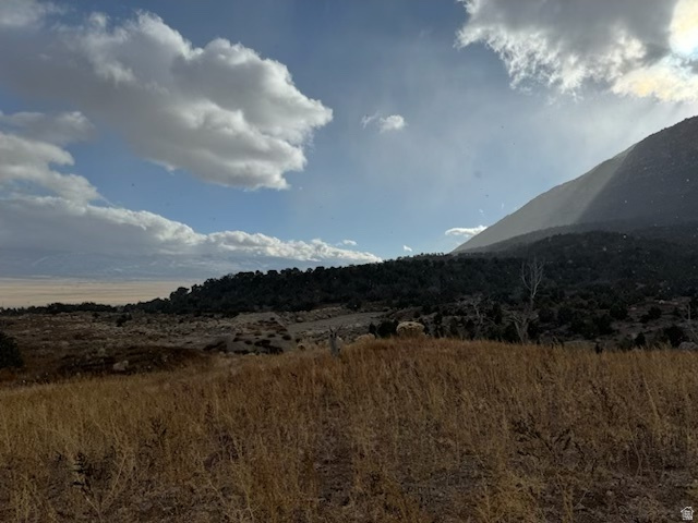And a river runs through it-- 160 acres of agricultural land near Pete's Canyon and Big Mountain in Sanpete County with Peach Canyon Creek running through.
