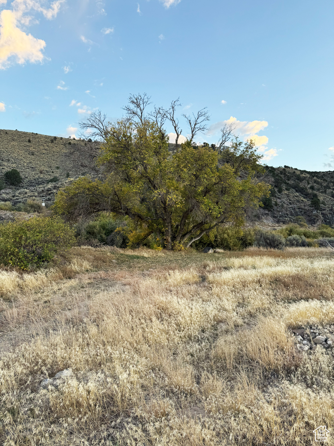 OUTLAW COUNTRY RANCHES - Land
