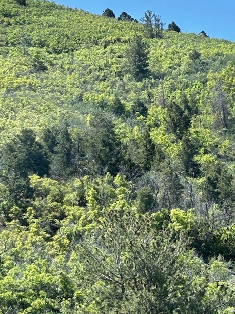 HIDEWAWAY VALLEY PLAT E - Land