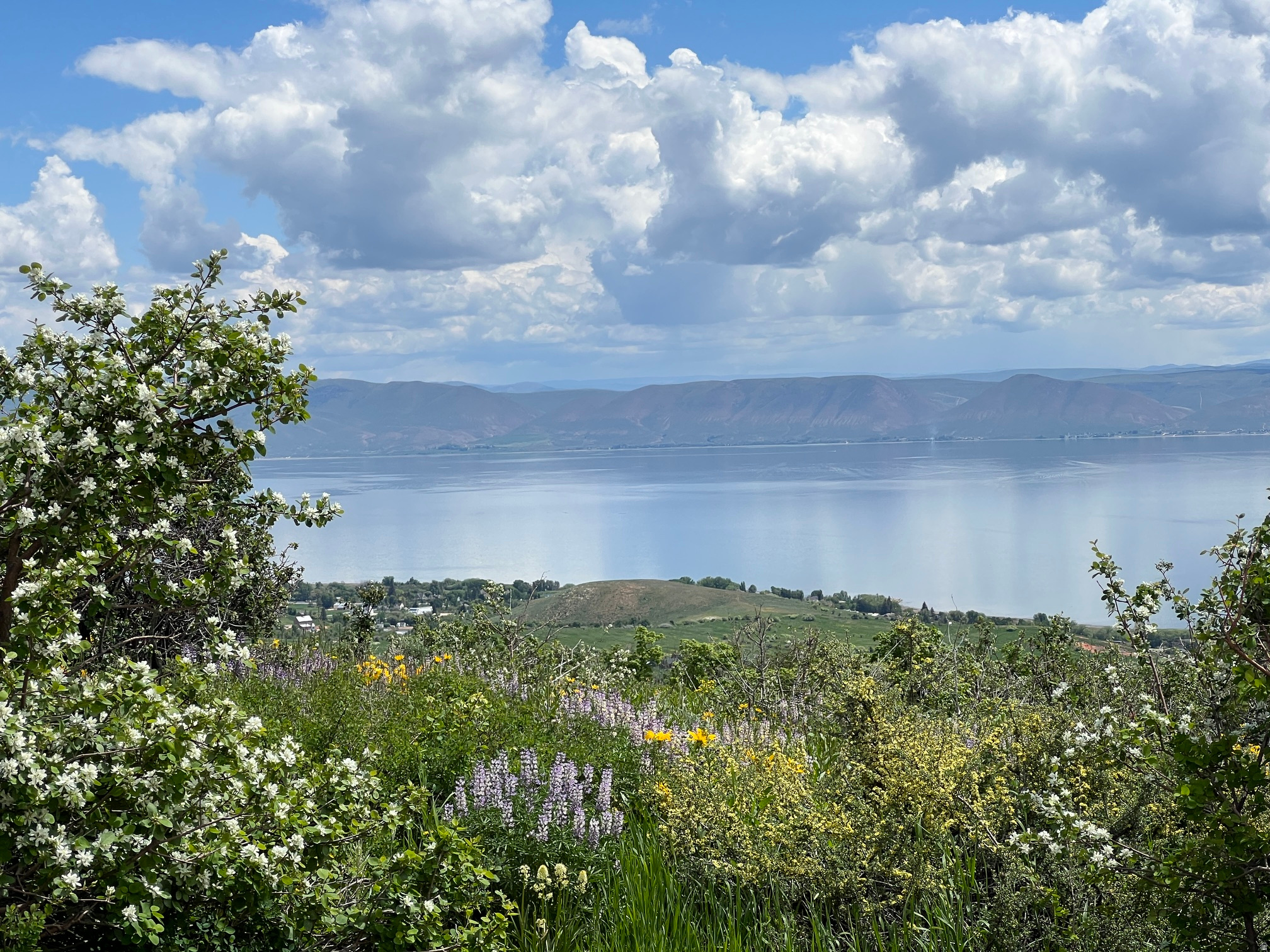 SPECTACULAR BEAR LAKE VIEW on two great buildable lots, 470 & 471 secluded in the cul-de-sac with mature trees, natural vegetation and wildlife galore! Backs up to Common Area. Privacy near top of Bear Lake West. Year-round access & utilities to lot. Bear Lake West Amenities include outdoor pool, hot tub, tennis/pickleball courts, beach access, plus Restaurant and Bear Lake West Golf Course within minutes. Close access to Fish Haven Canyon Trailhead for ATV and Snowmobiling. Bear Lake Marina in Garden City, or North Beach Marina and best sandy beach 10 minutes. Beaver Mountain Ski 30 minutes. No Short-term rentals.