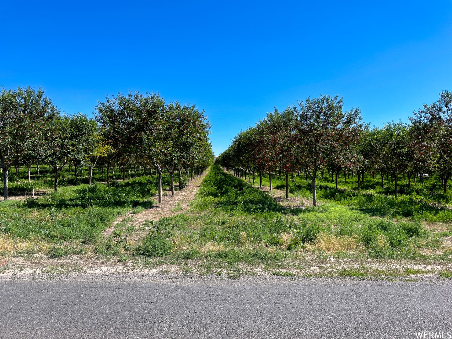 YORK FARM ESTATES - Land