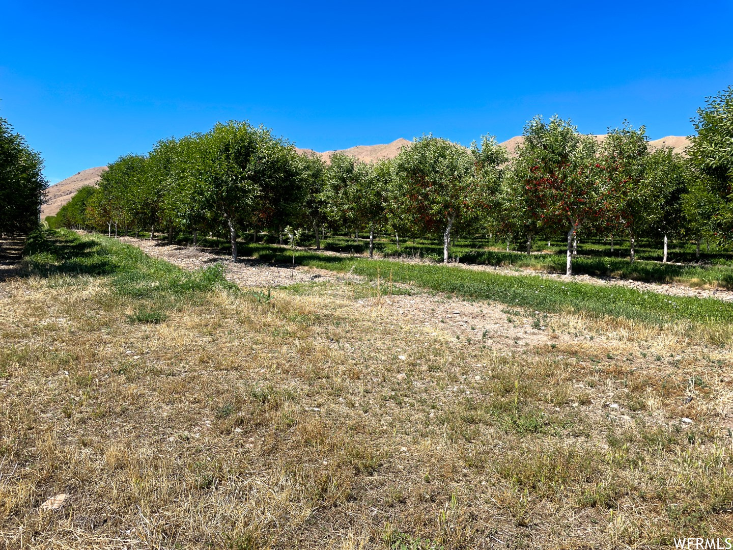 YORK FARM ESTATES - Land