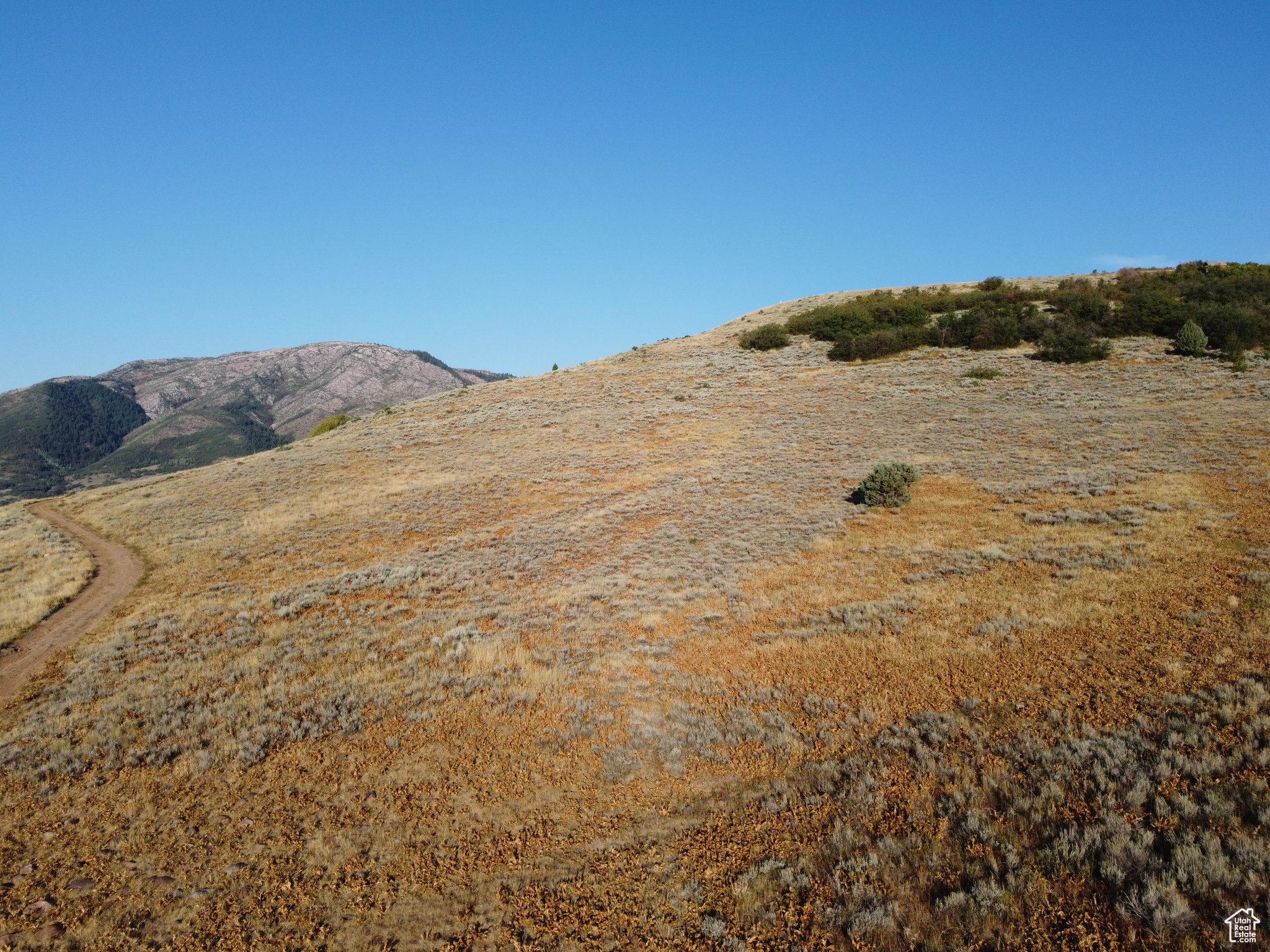 EVERGREEN - Land