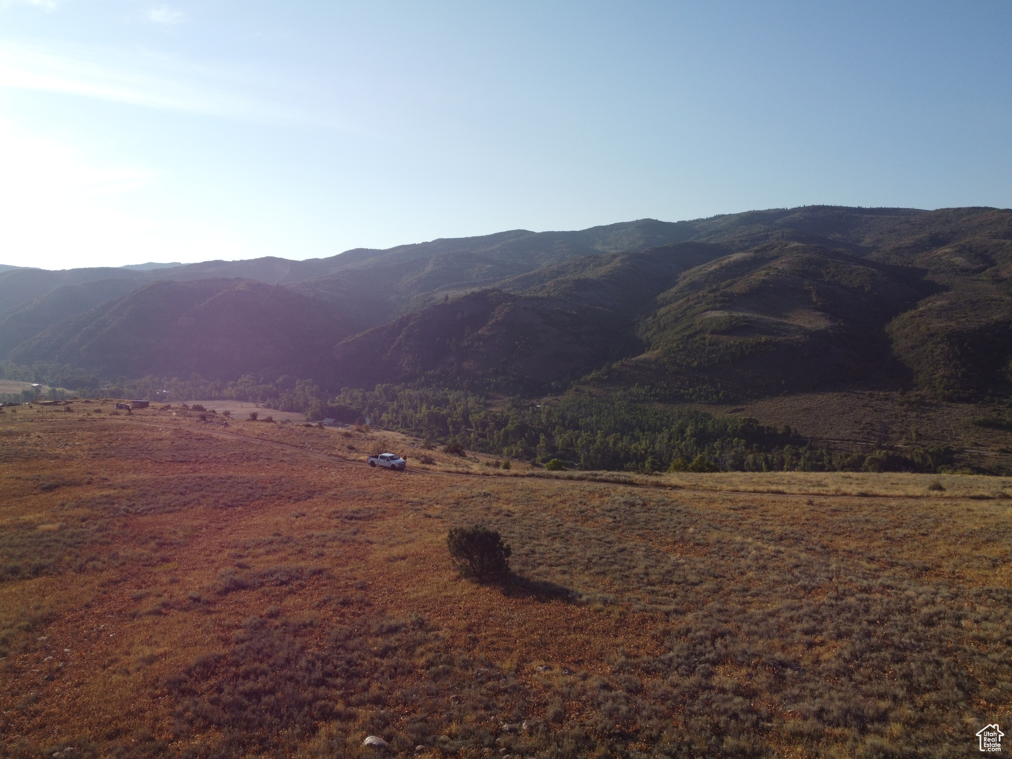 EVERGREEN - Land