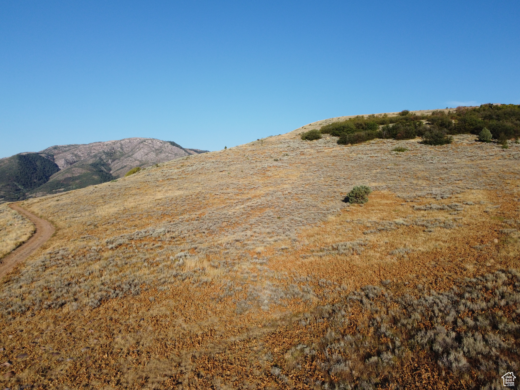 EVERGREEN - Land