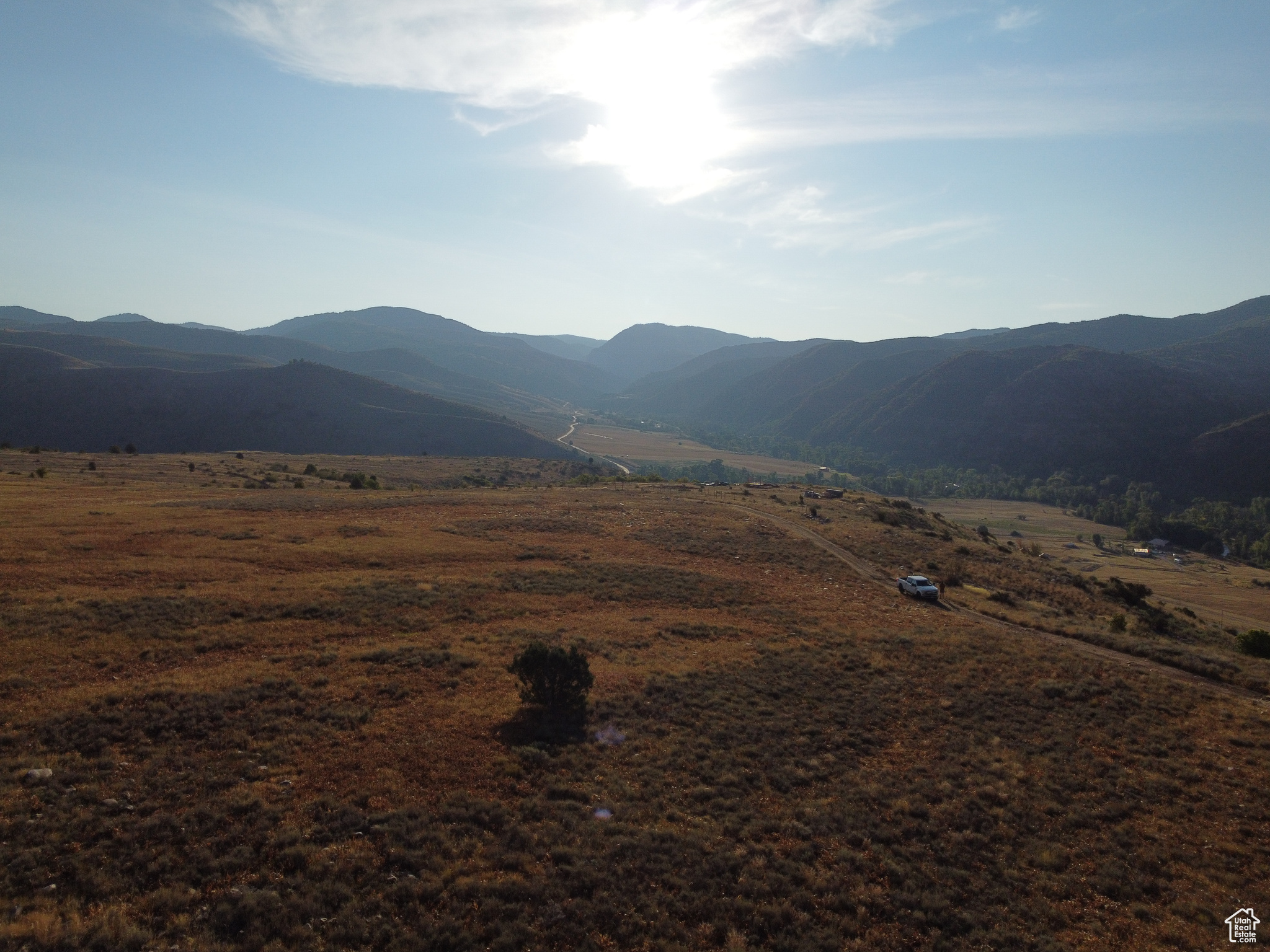 EVERGREEN - Land