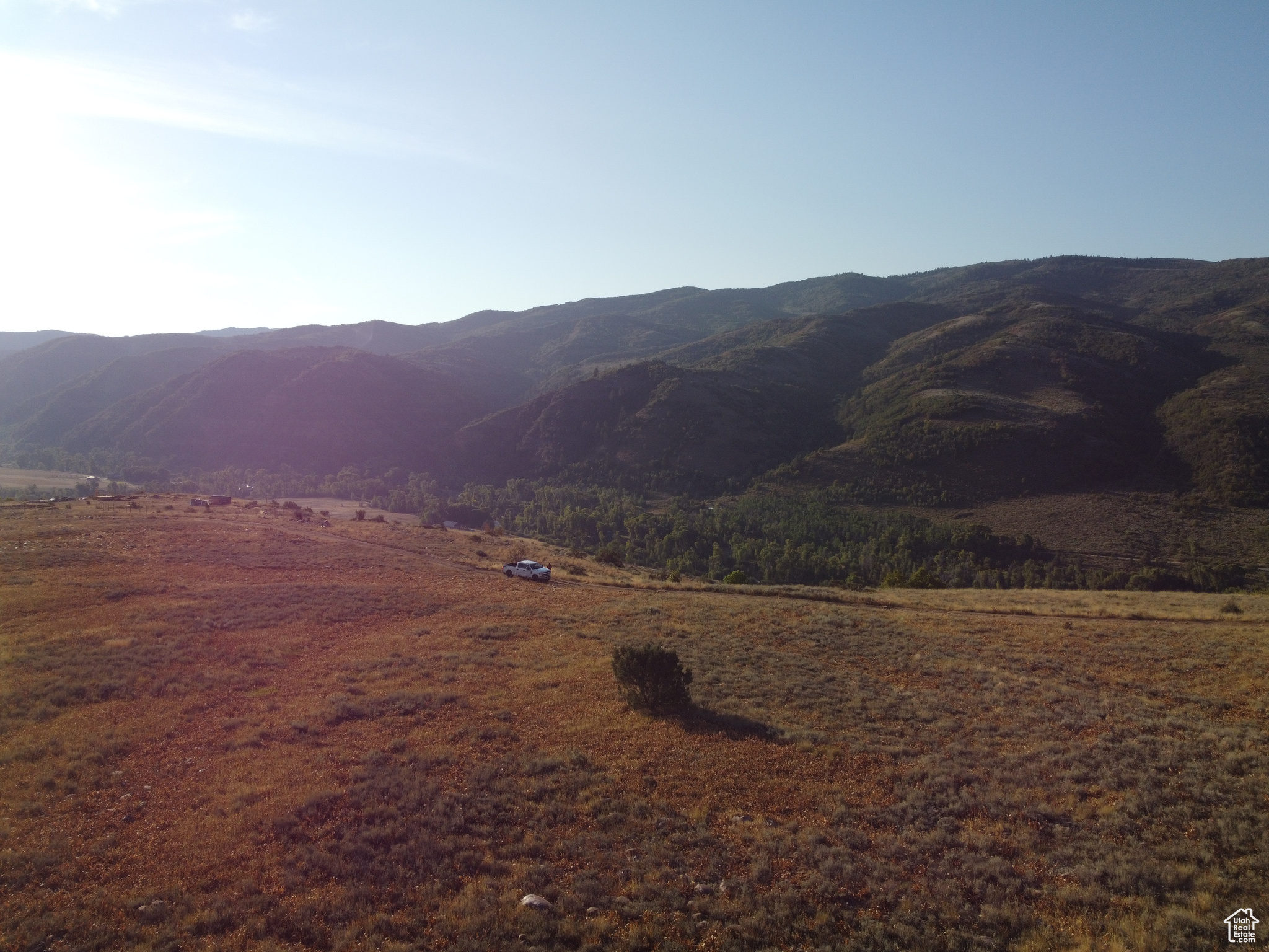 EVERGREEN - Land
