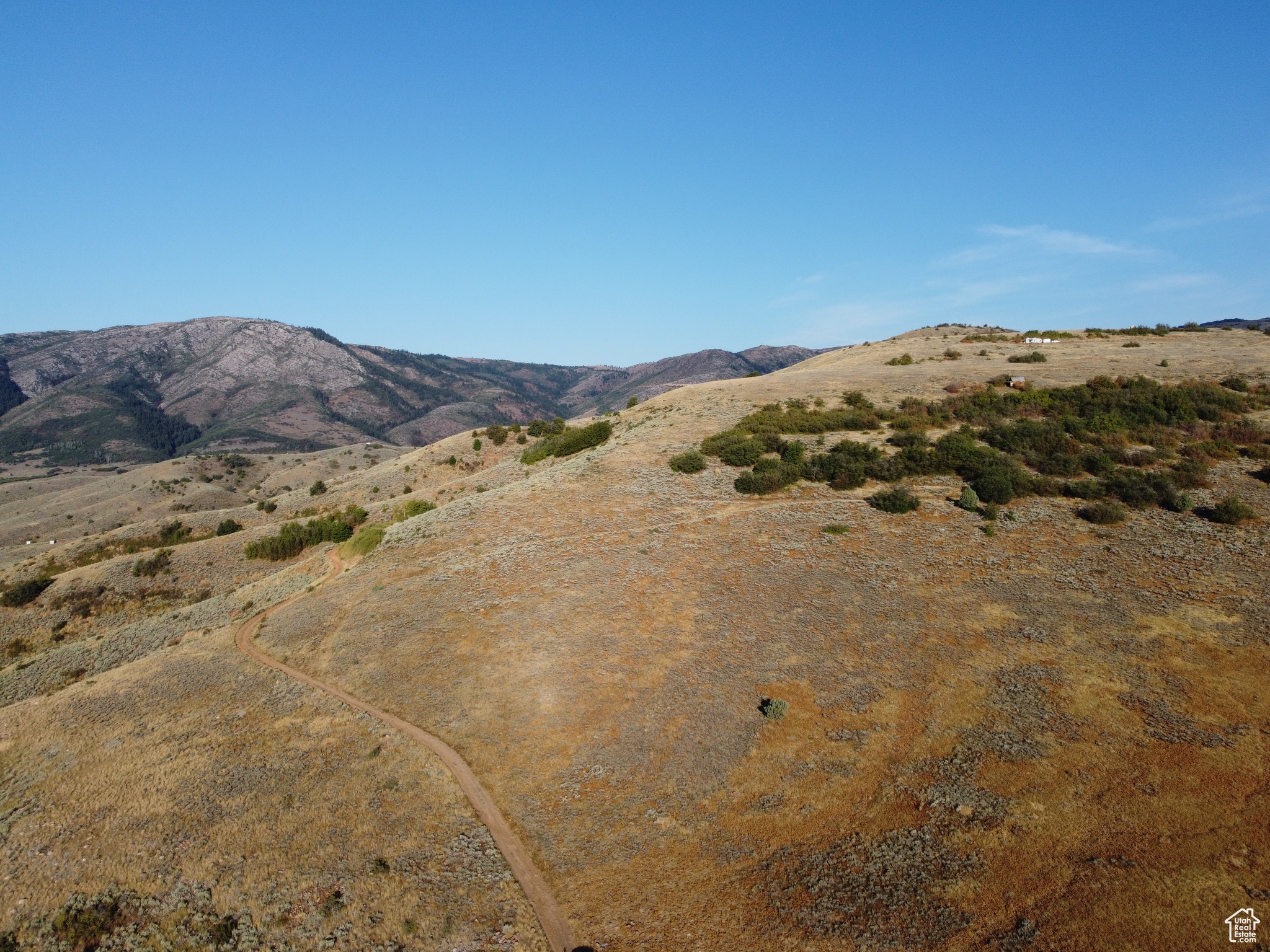 EVERGREEN - Land