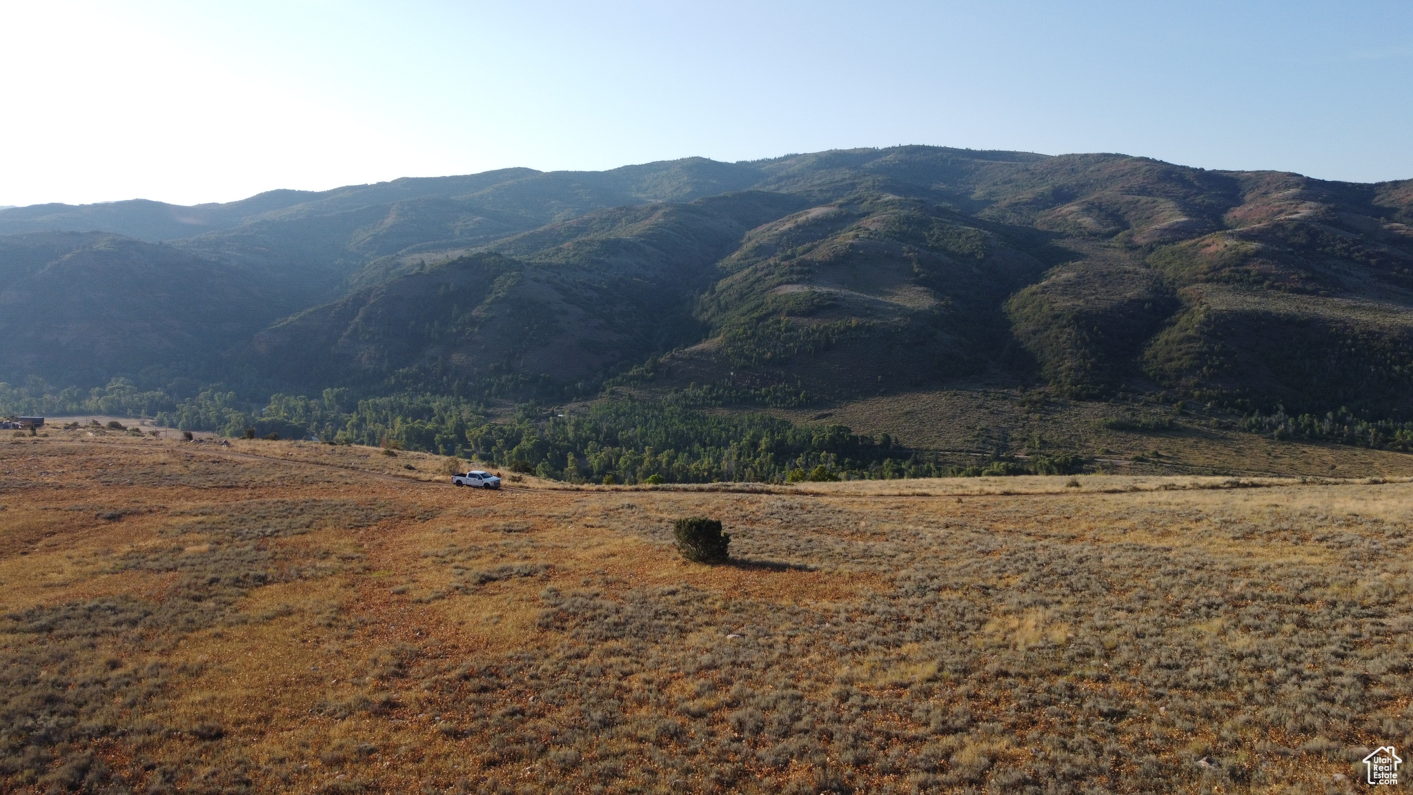 EVERGREEN - Land