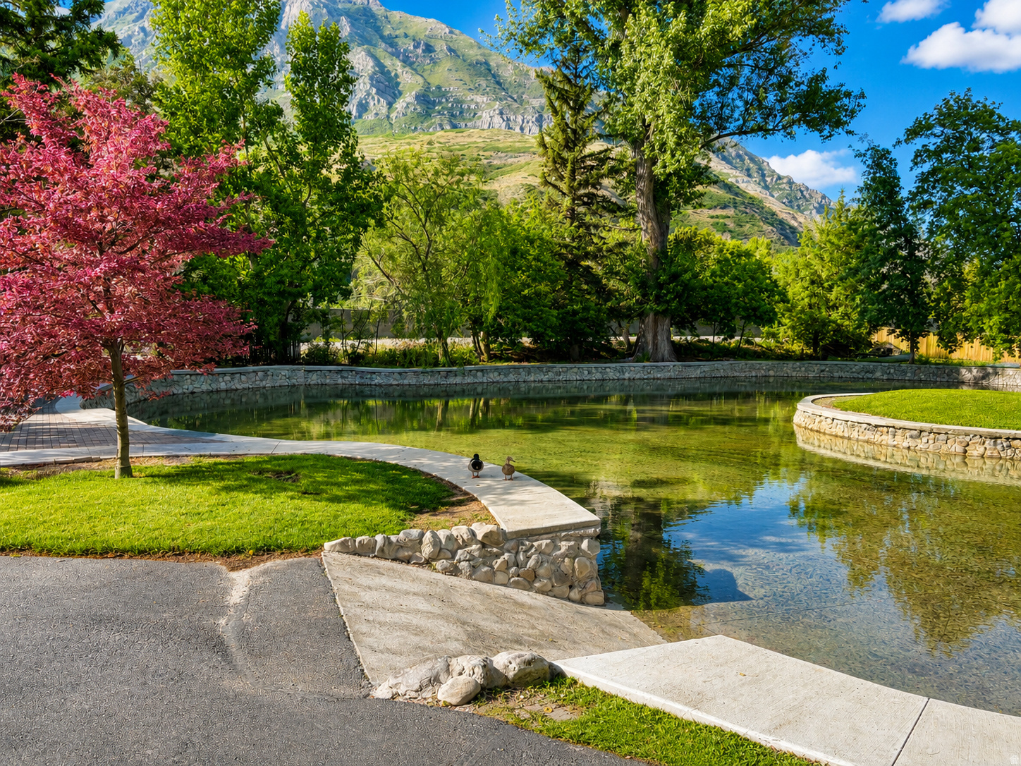 SPRINGDELL - Residential