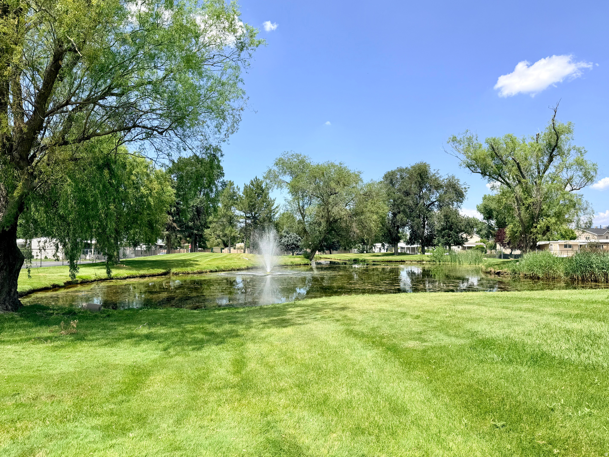 MEADOWS MEADOWS - Residential