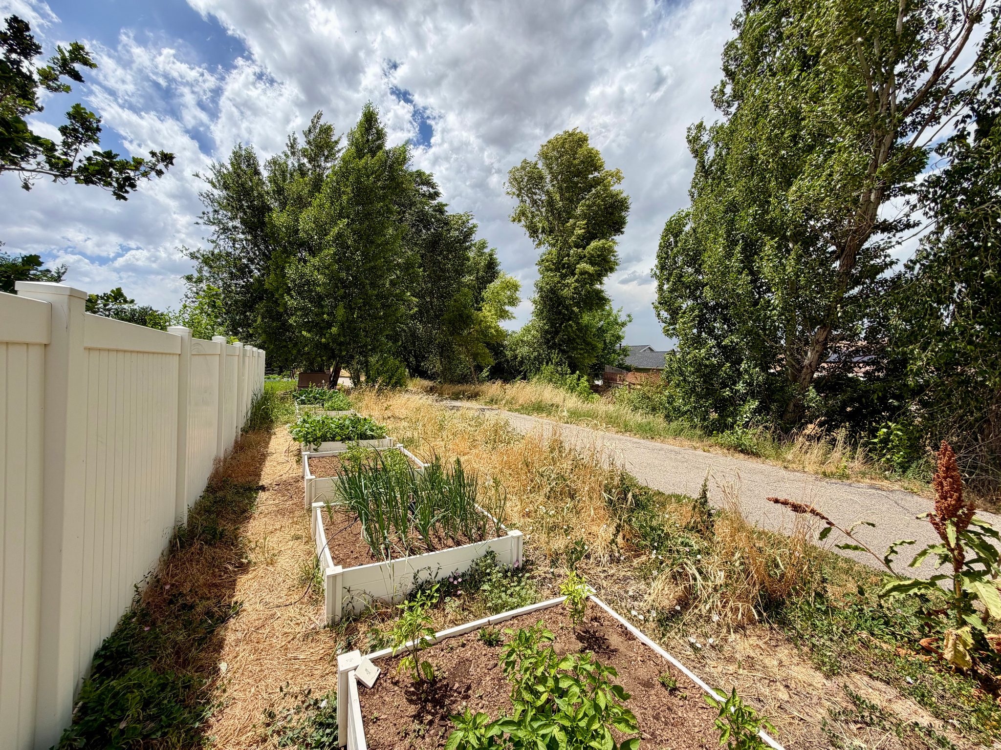 DRY CREEK - Residential