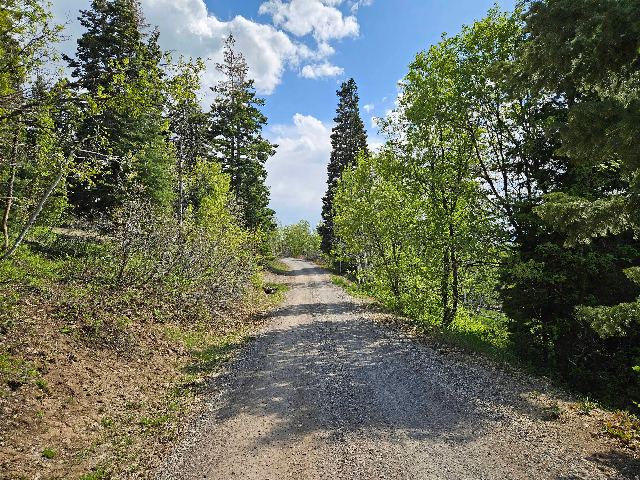 ASPEN HILLS - Land