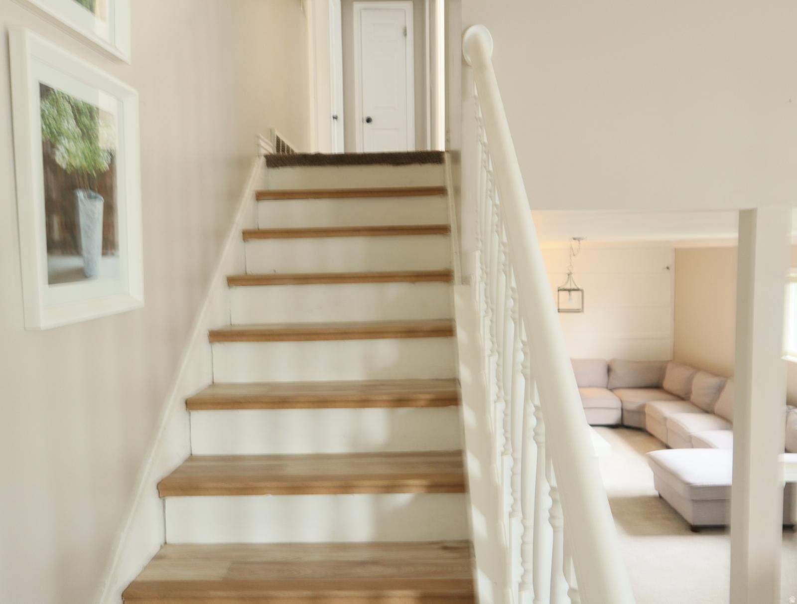 WINDSOR MEADOWS - Residential