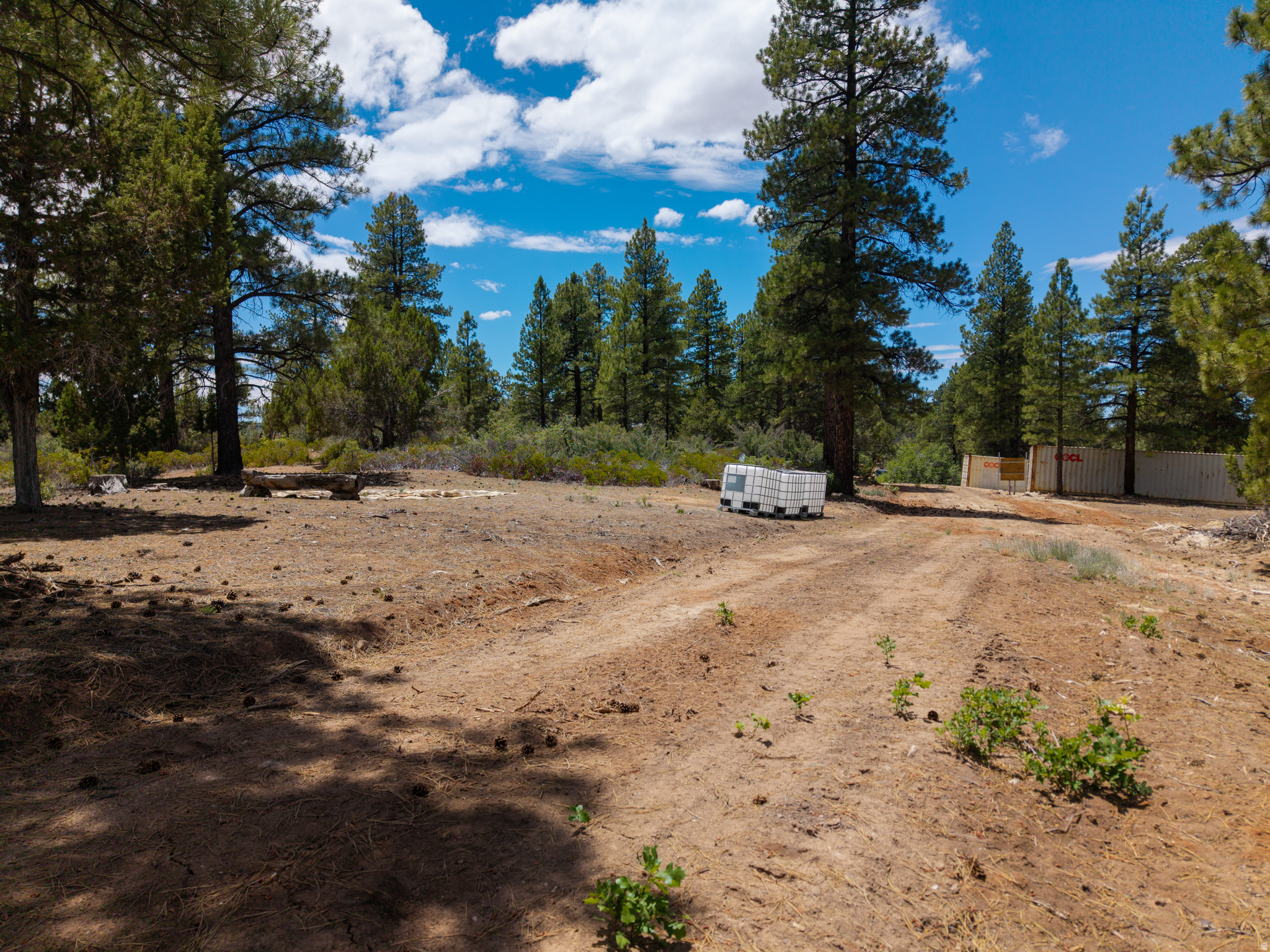 LITTLE PONDEROSA - Land