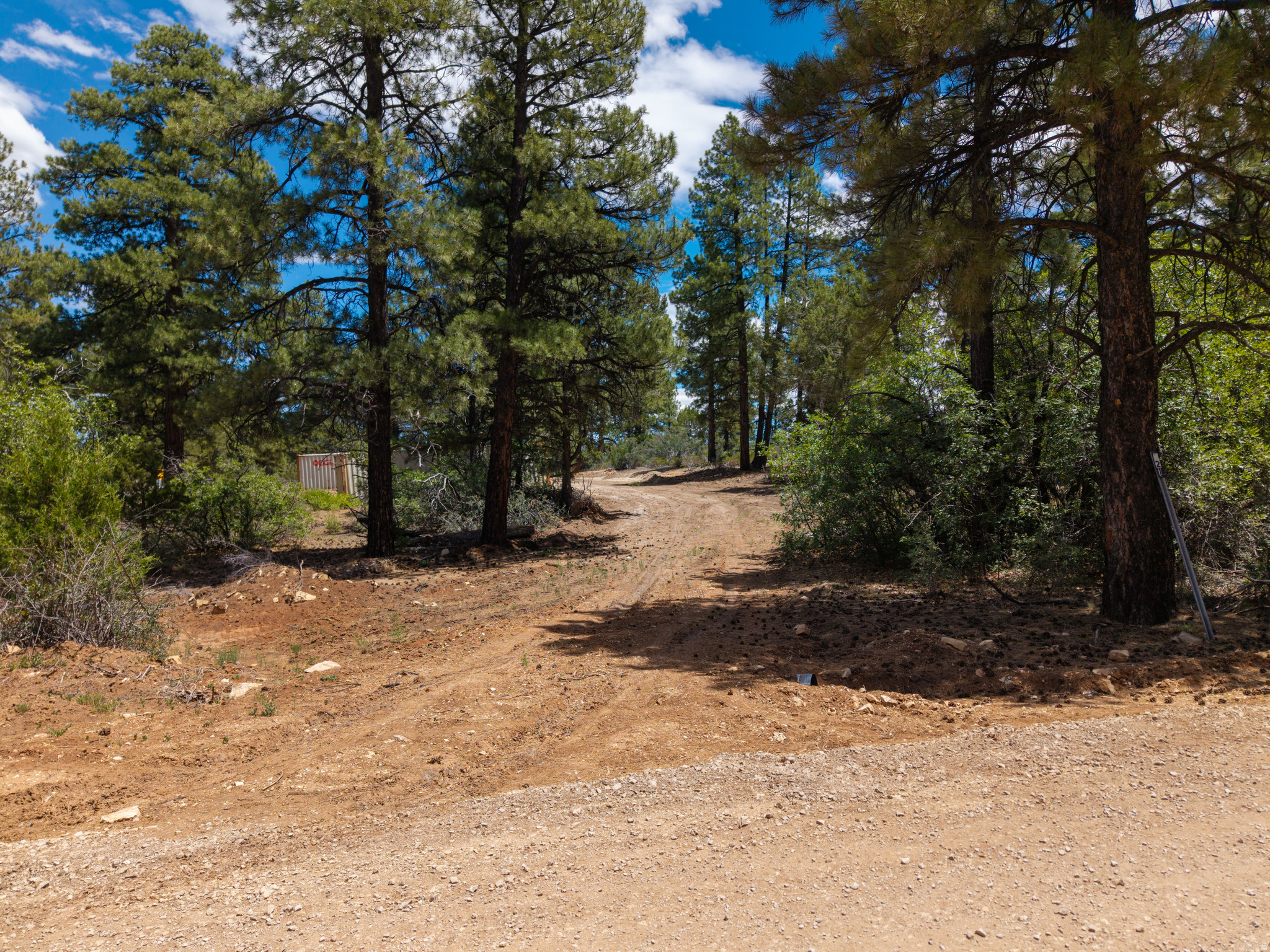 LITTLE PONDEROSA - Land