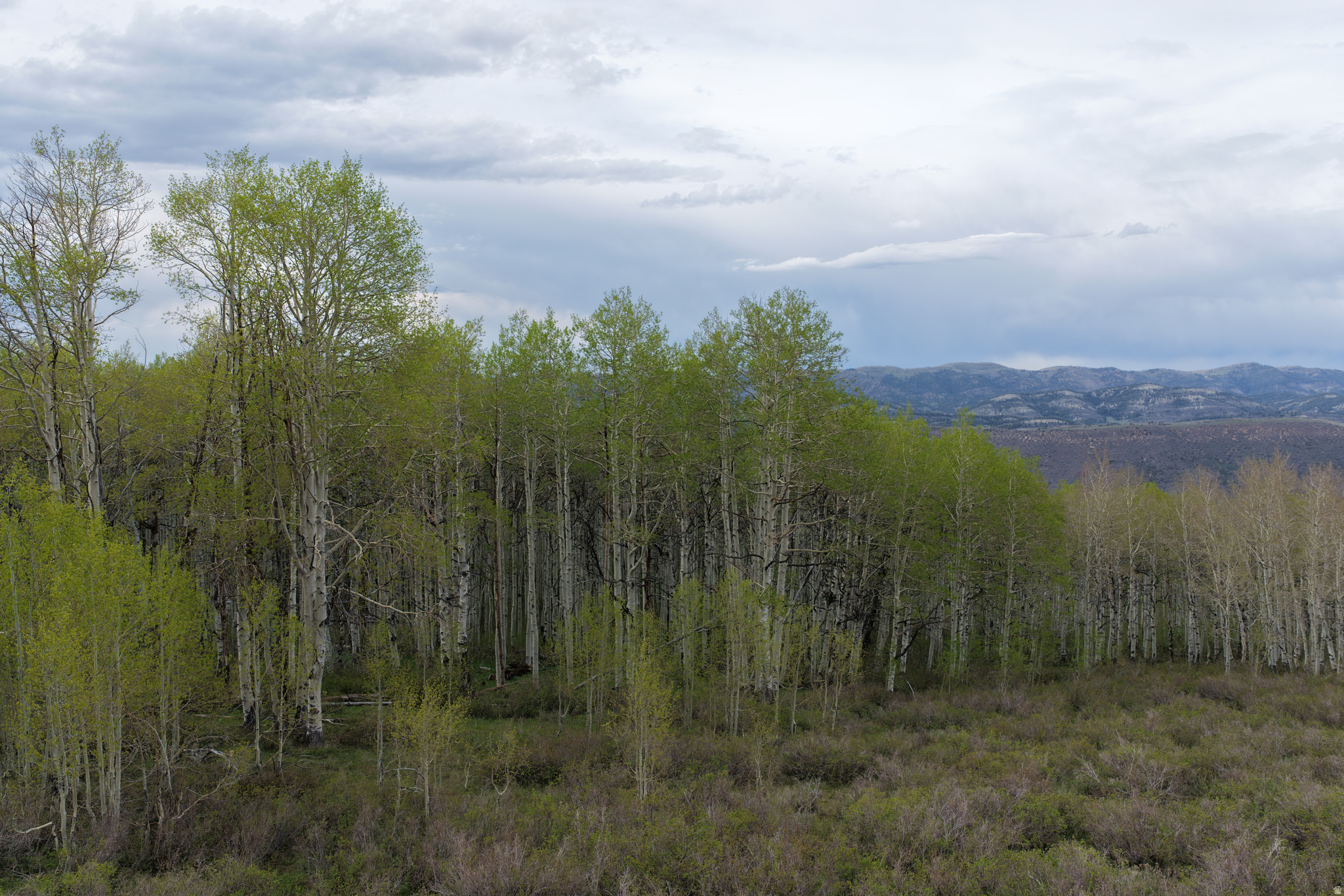 SOLDIER SUMMIT ESTATES - Land