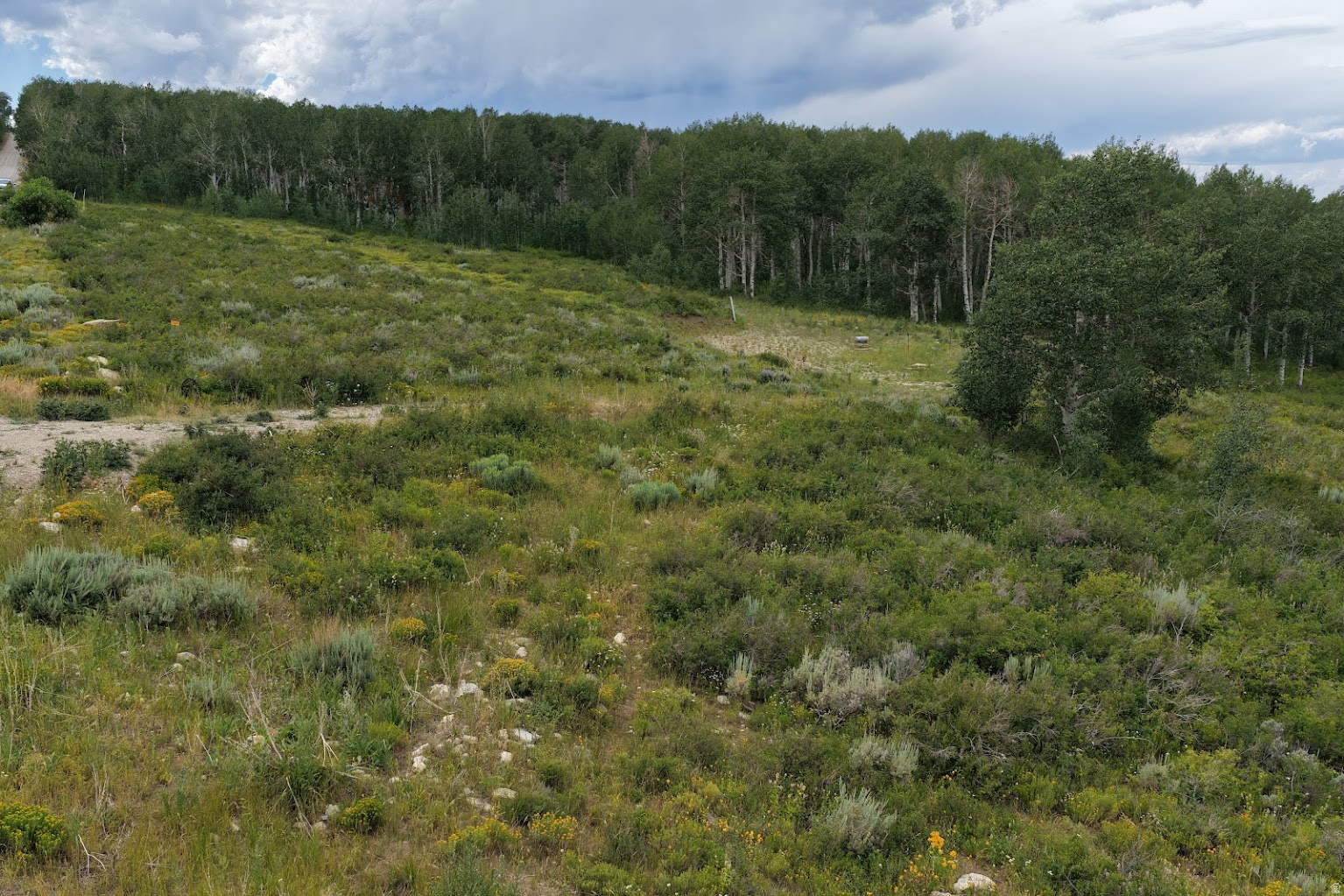 SOLDIER SUMMIT ESTATES - Land