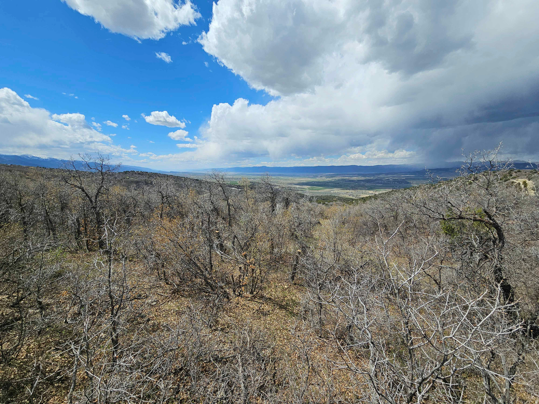 Lot 46 containing 1.91 acres in the Skyline Heights Subdivision (Part of the Legacy Mountain HOA). Good road access to the property with excellent views of the Manti La Sale Mountains and Sanpete Valley. There is a view stand on the property to provide views of the mountains and valley below. You can see this stand in the pictures. Deer and other wildlife are present. Good property to build a cabin.