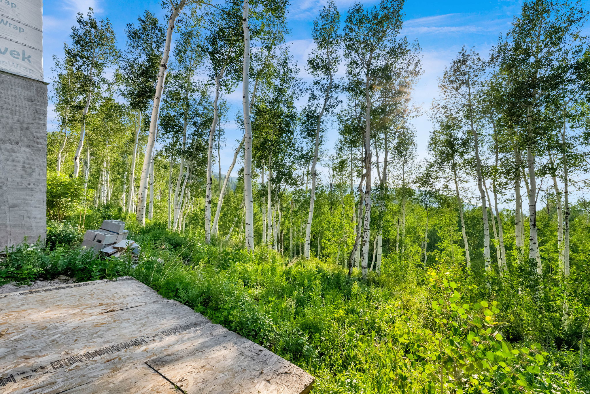 TIMBER LAKES - Residential