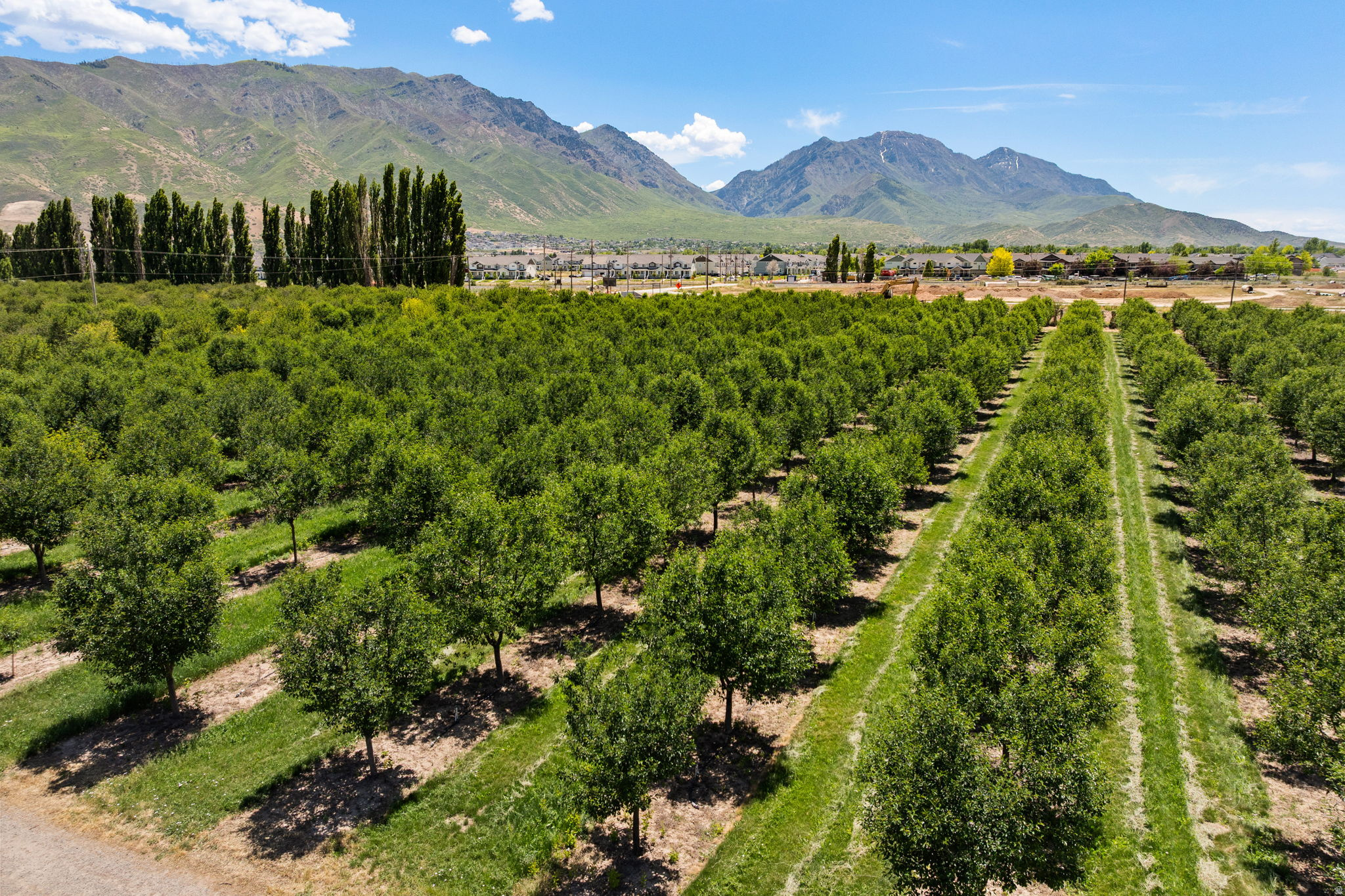 34.99 total acres of prime agricultural land currently operating as an active cherry orchard. Offered as a package across four parcels this investment also includes a robust water share portfolio with 84.28 shares of SVP.    Possibility for new owners to also lease an additional 55.00 acre-feet of Central Utah Water Conservancy, Central Utah Project (CUP) water.