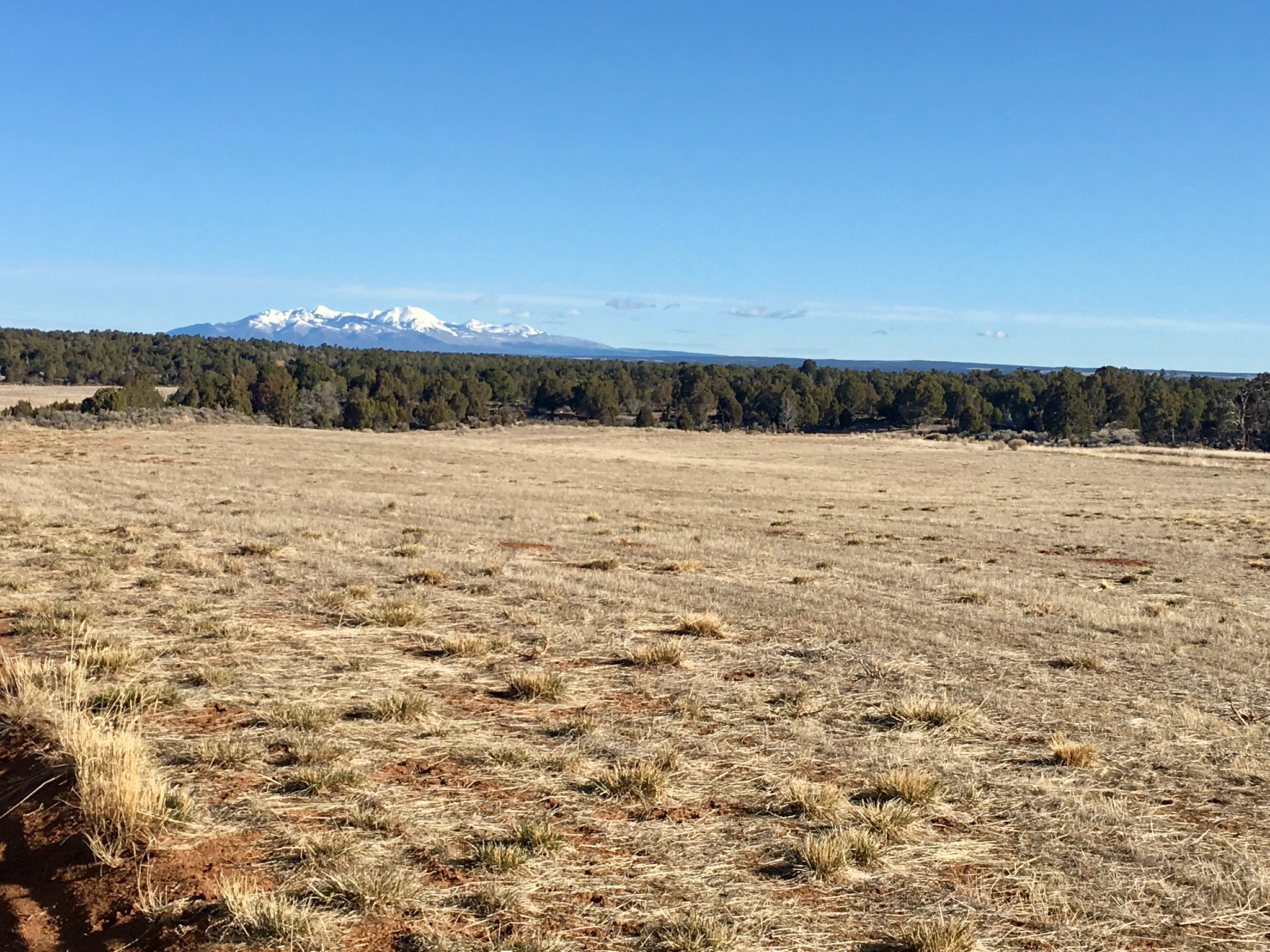 23.45 acres in a prime San Juan County location, about an hour from Moab and Bears Ears National Monument. Enjoy access to world-class recreation and more moderate summer temperatures than Moab due to Monticello's higher elevation. The property is conveniently located just 10 minutes from downtown Monticello. The land features flat, usable terrain with partial fencing already installed, making it a great property for livestock, agricultural use, and ATV recreation. Power and well water are already in place, adding significant value. Wide-open views, dark night skies, and peaceful rural living are complemented by nearby town amenities. A rare opportunity to own versatile acreage in San Juan County.