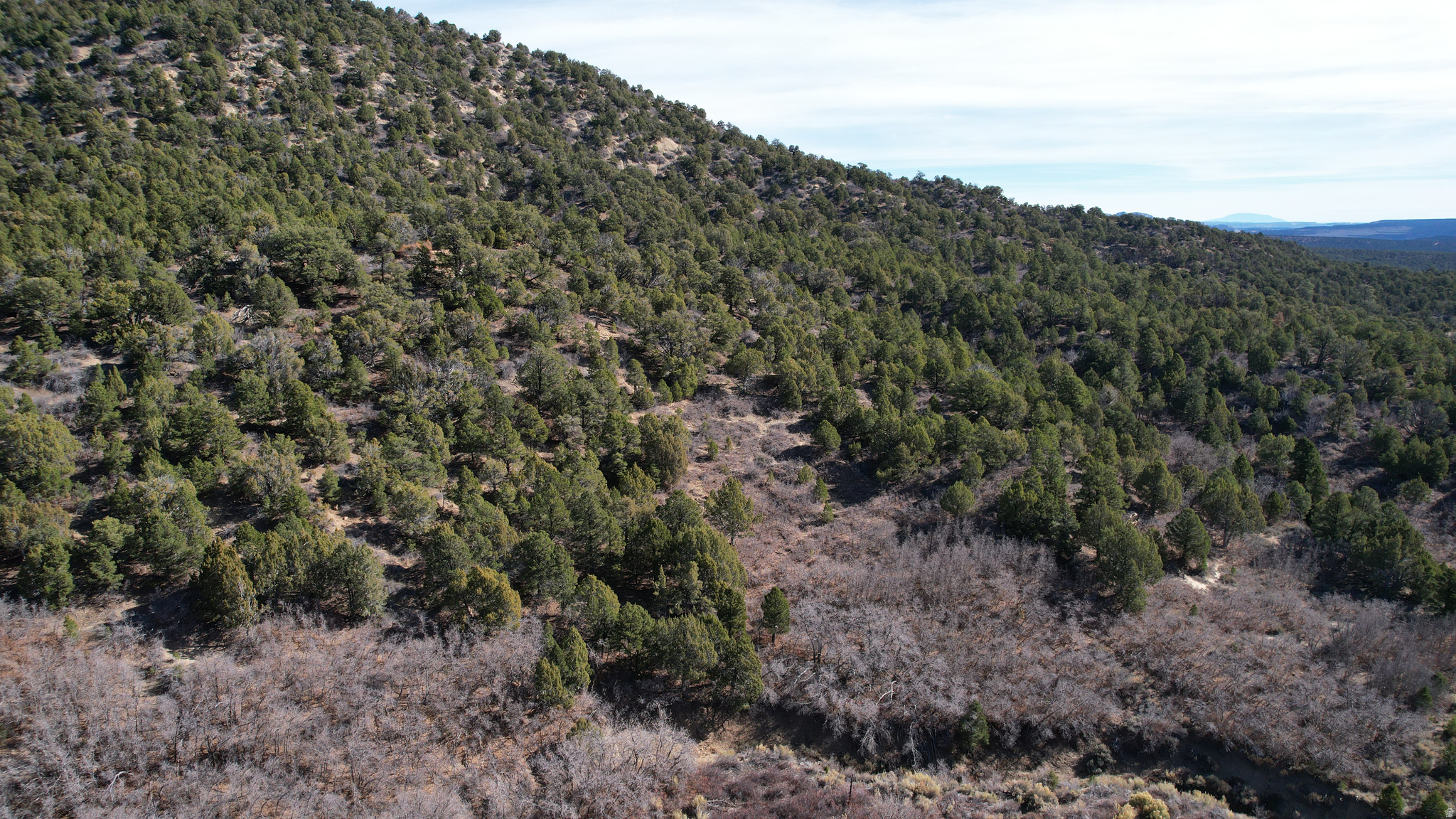 DEER SPRINGS RANCH PLAT C - Land