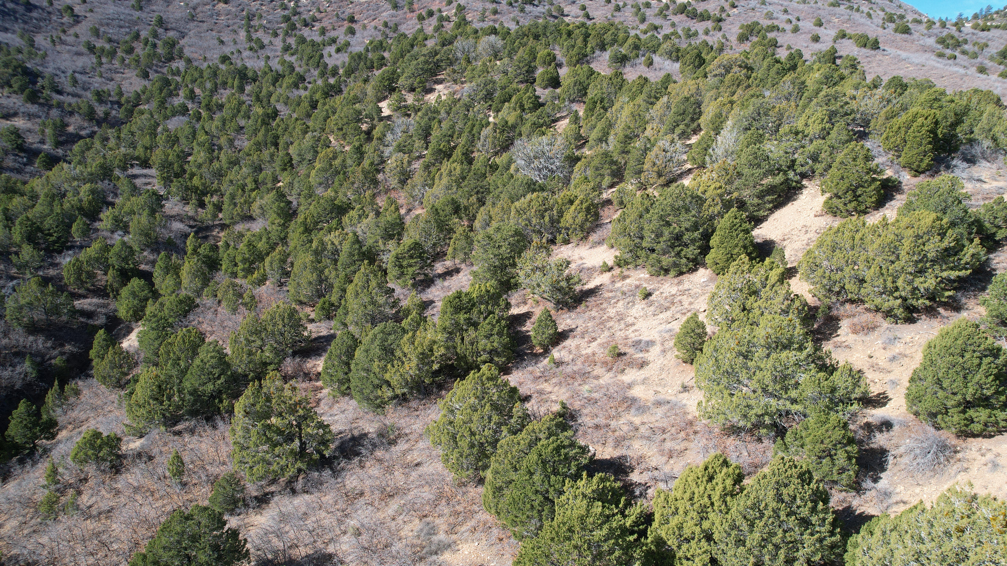 DEER SPRINGS RANCH PLAT C - Land