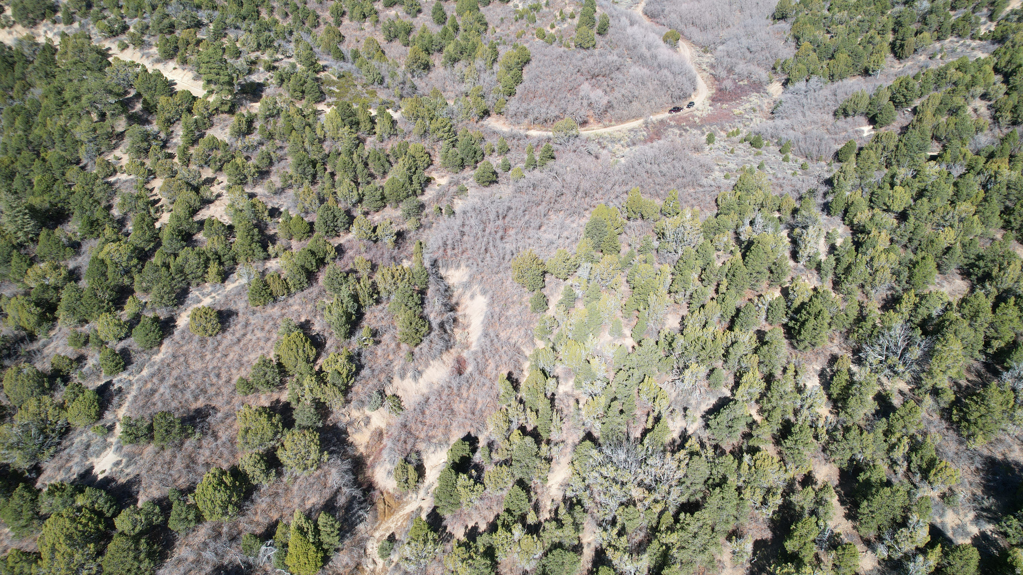 DEER SPRINGS RANCH PLAT C - Land