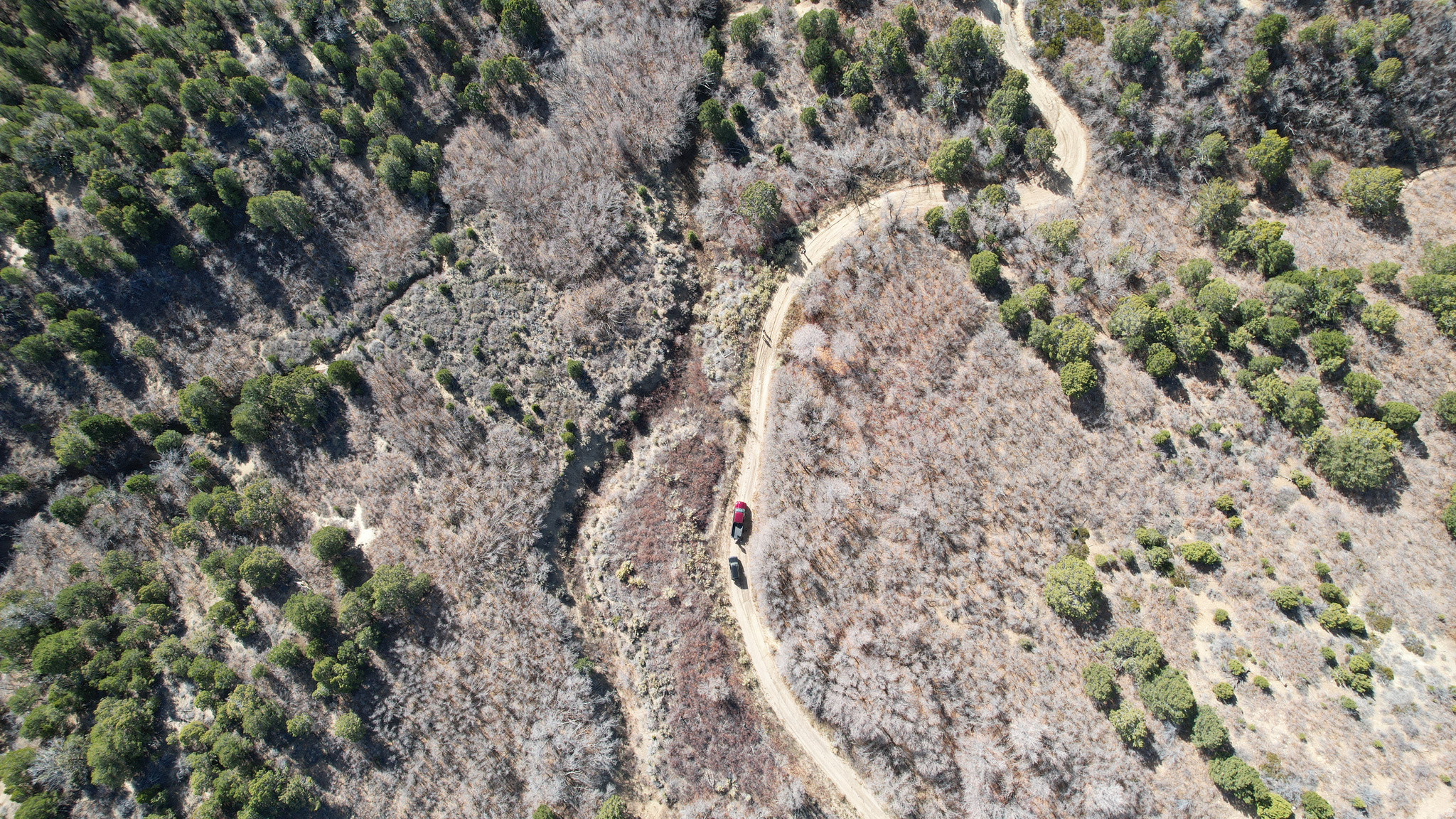 DEER SPRINGS RANCH PLAT C - Land