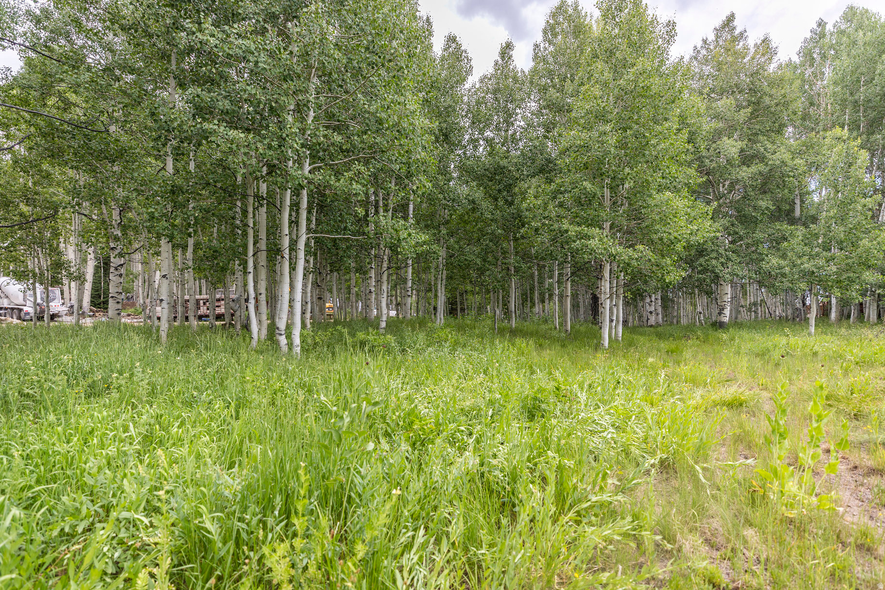 TIMBER LAKES - Land