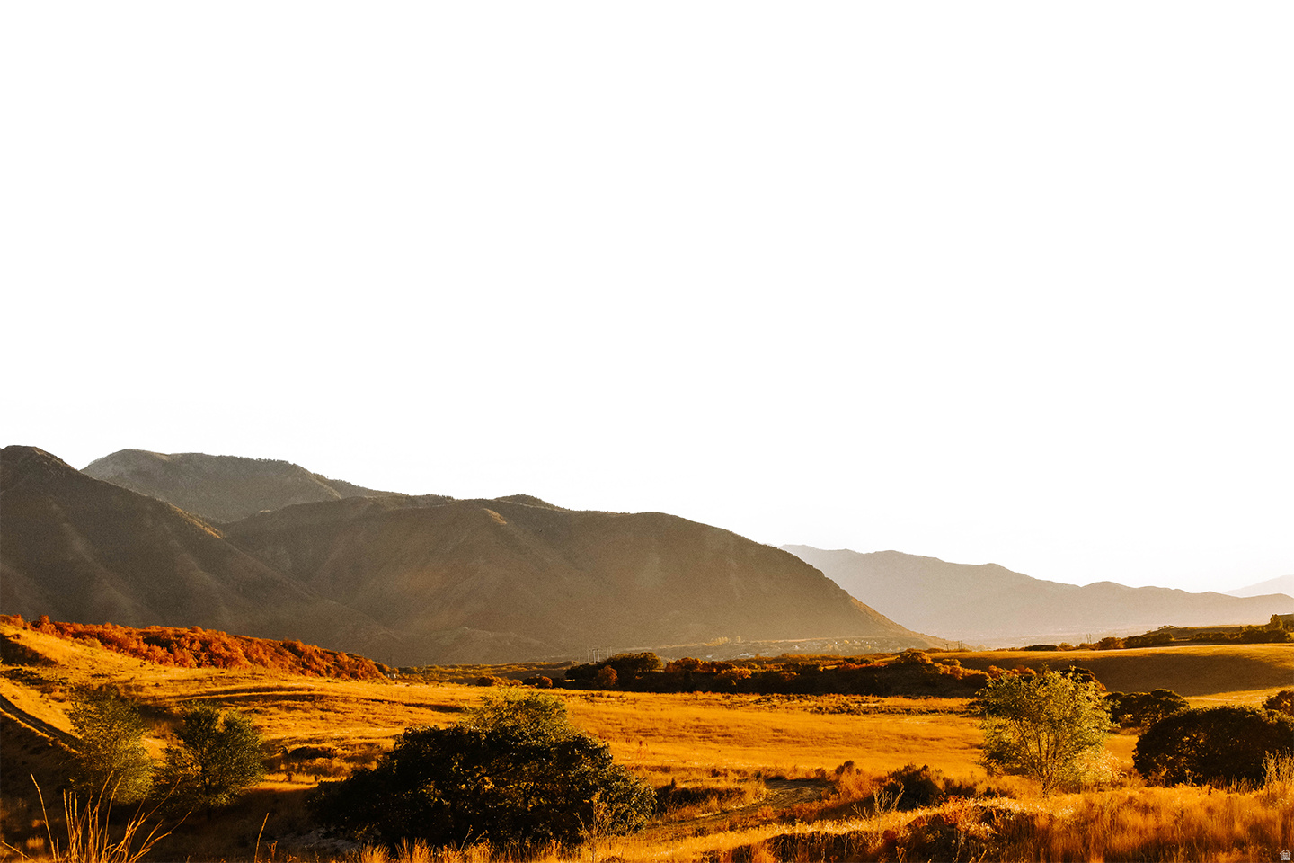 THE PRESERVE AT MAPLETON - Land