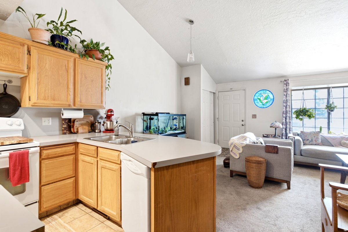 OLD MILL - Residential