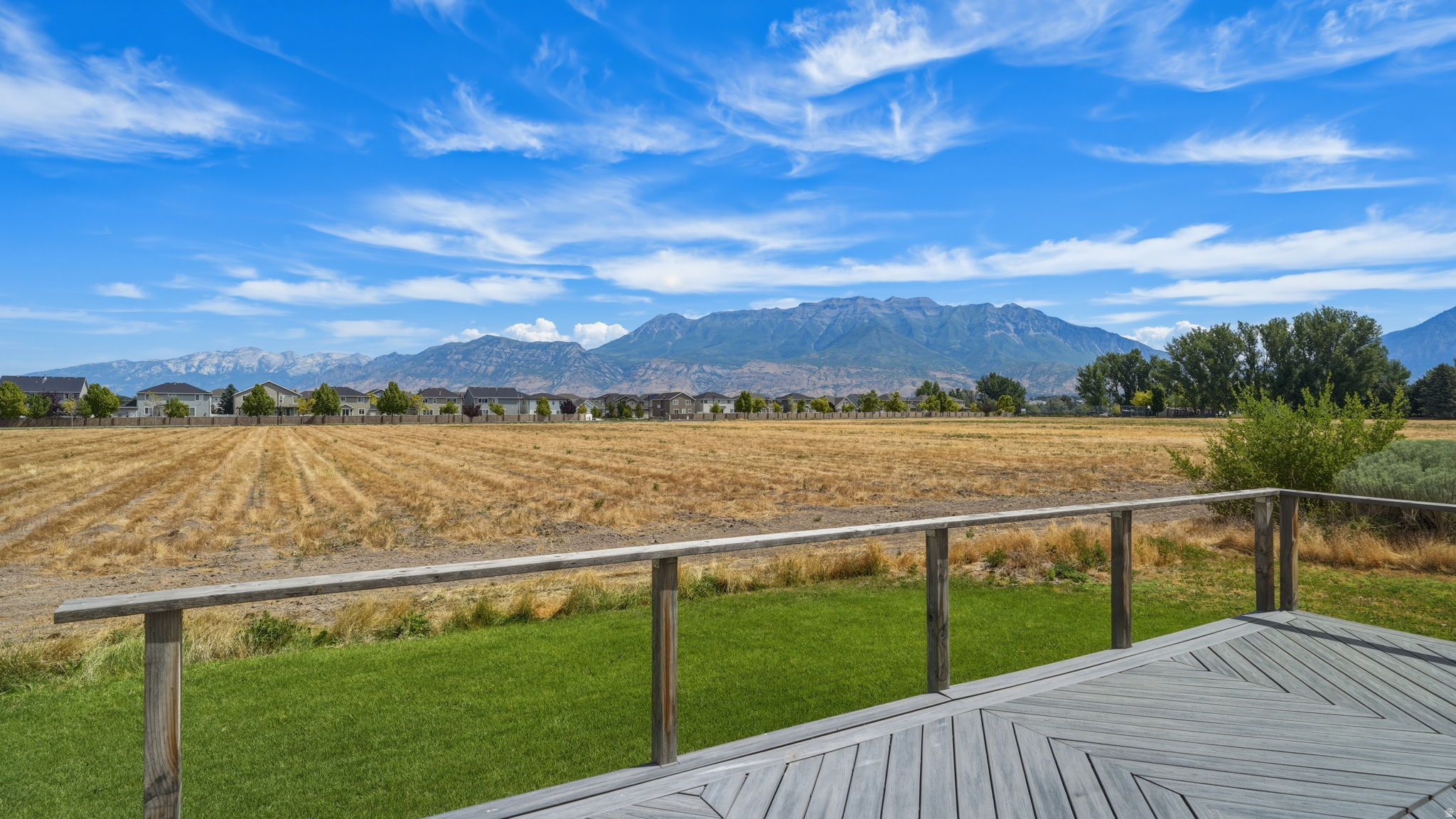 THE MEADOWS - Residential