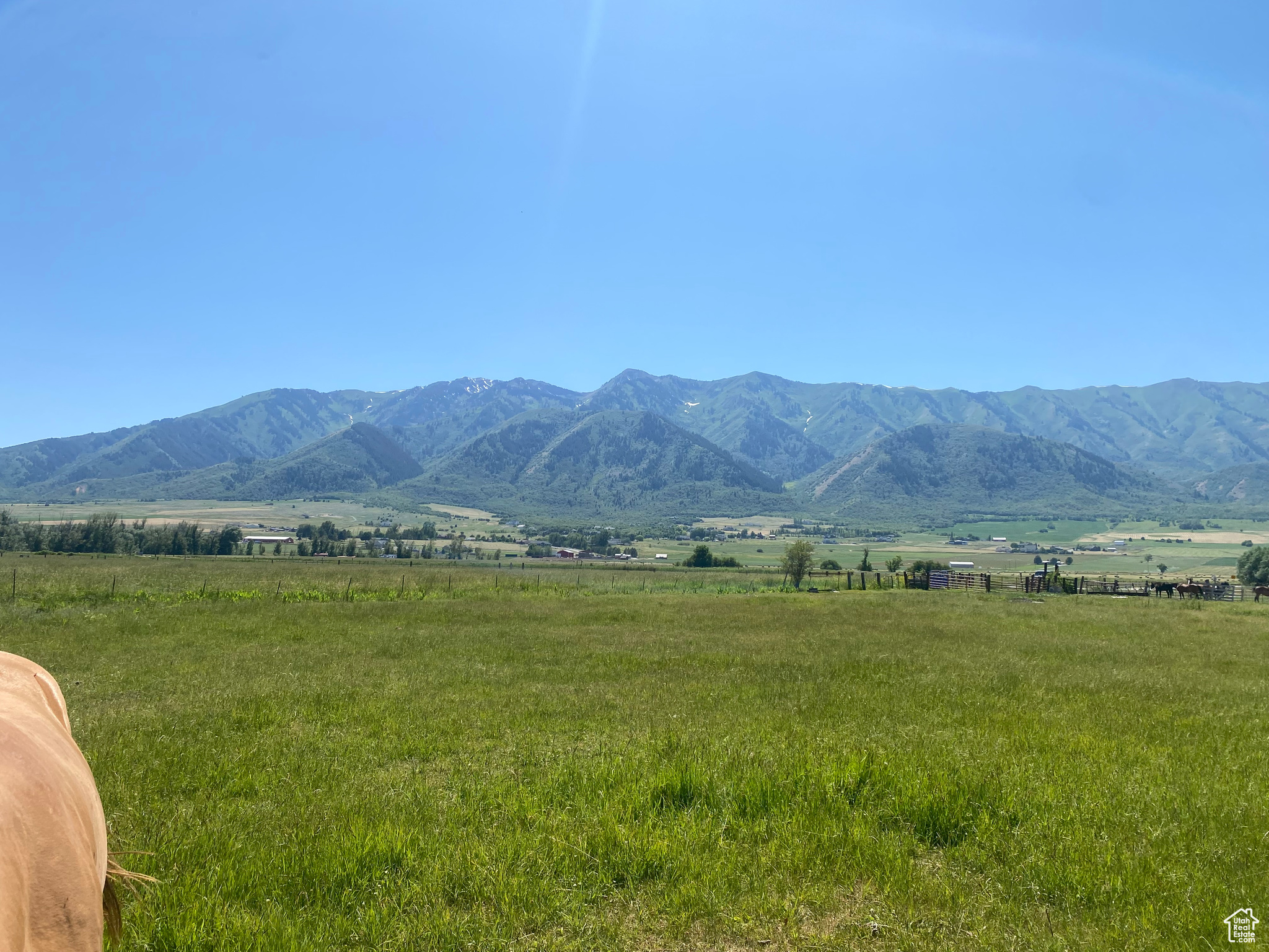 Seller willing to consider seller financing!  21 irrigated Acres with Stock Rights between Mendon and Wellsville with approximately 1800 ft of the Little Bear River frontage with unobstructed views of the Wellsville Mountains for sale!  Address is approximate.  Information provided as courtesy only, buyer and buyer's agent to verify all info.