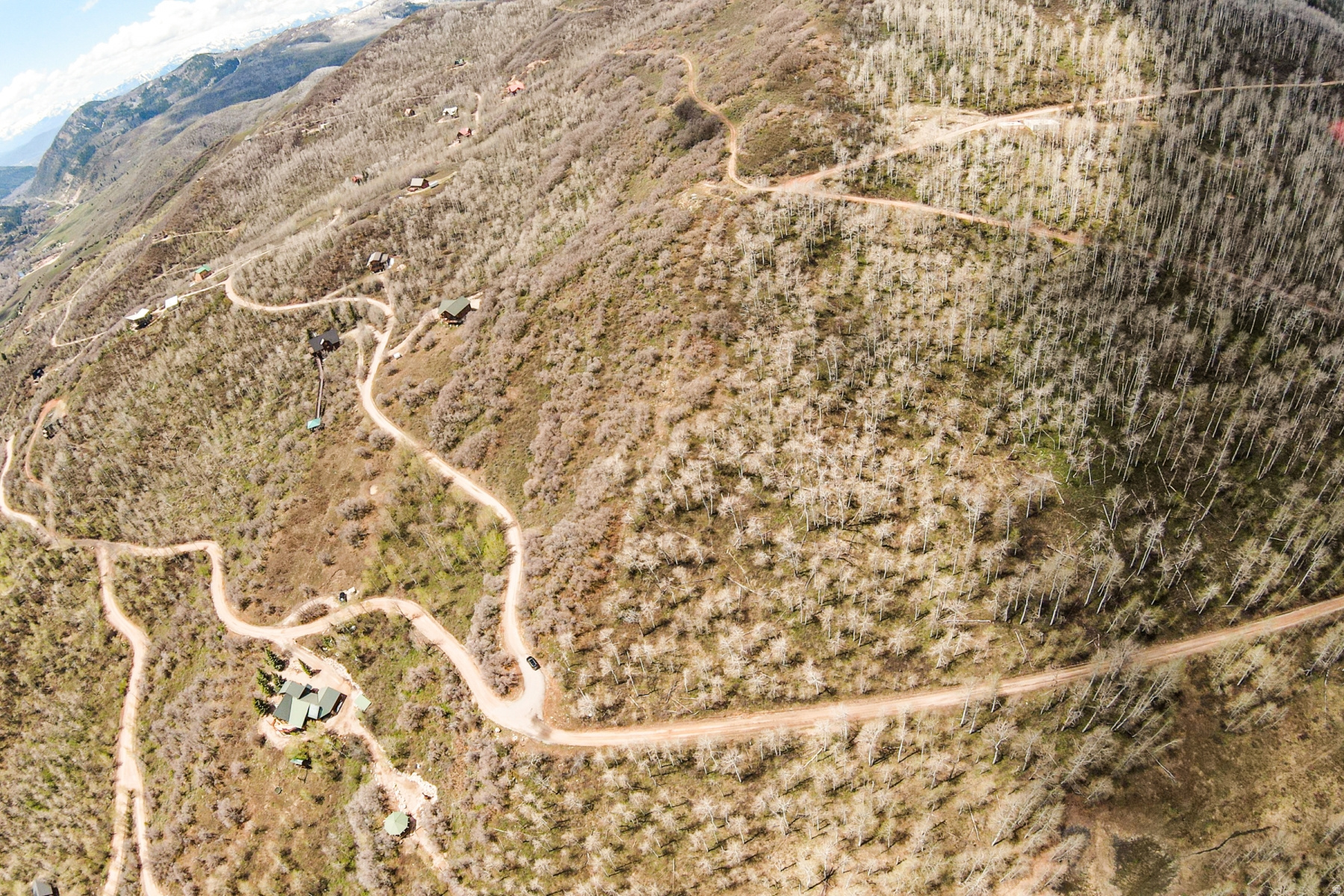 CANYON RIM - Land