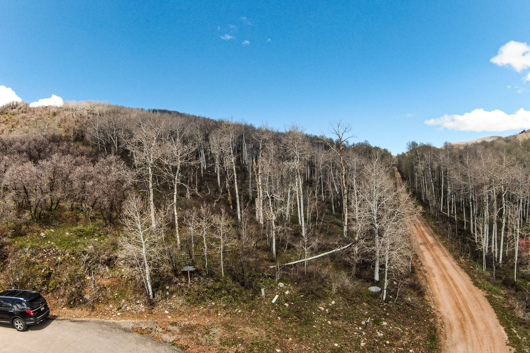CANYON RIM - Land