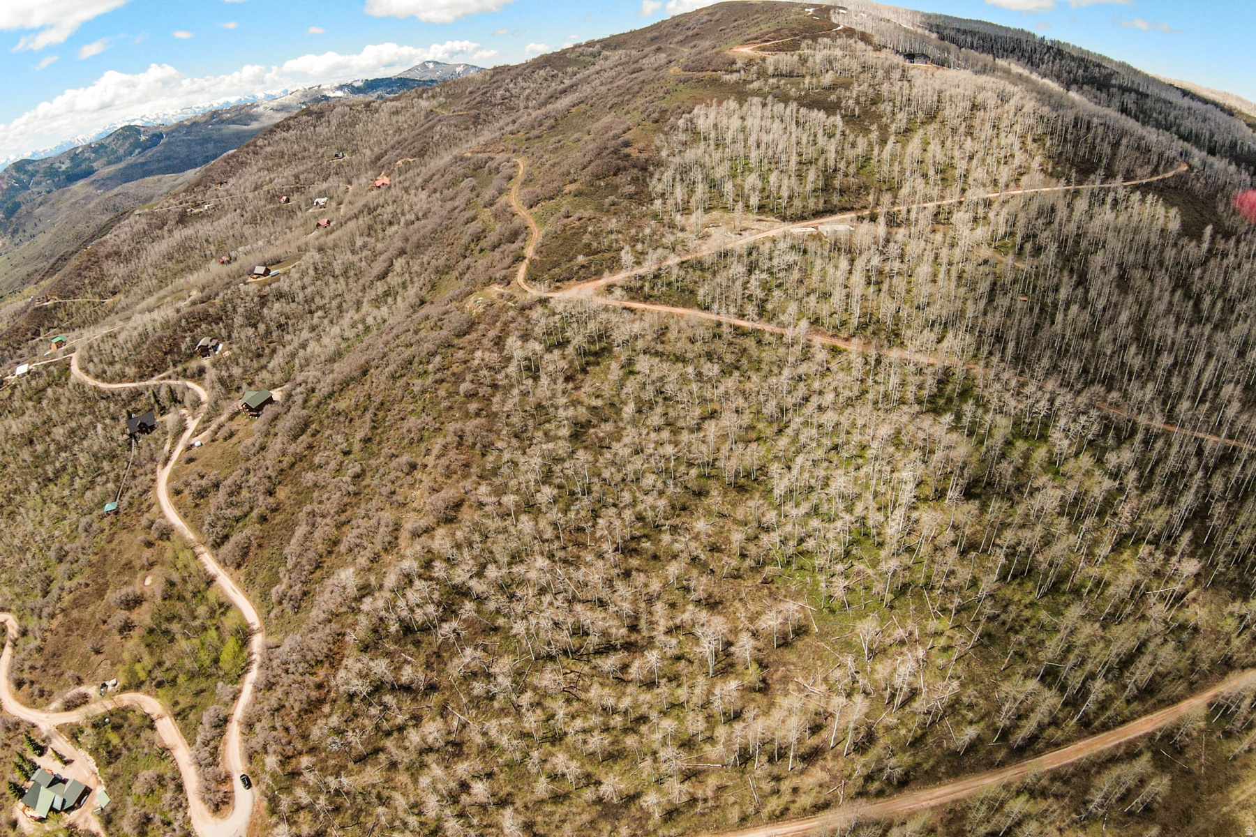 CANYON RIM - Land