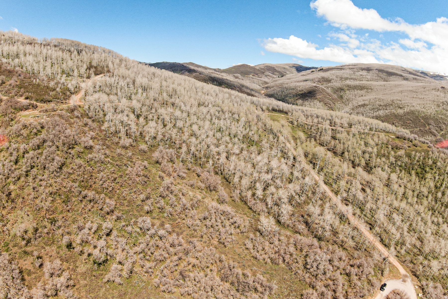 CANYON RIM - Land