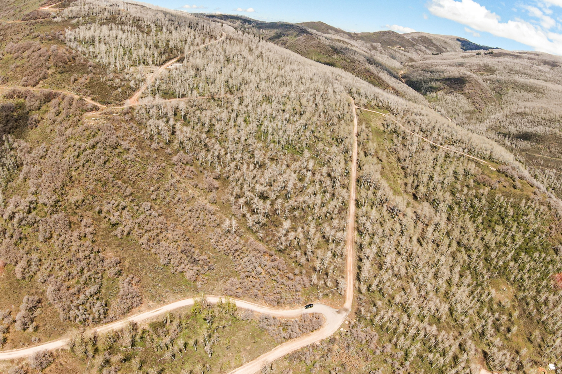 CANYON RIM - Land