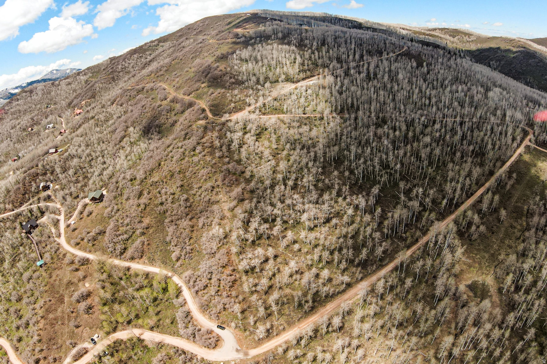 CANYON RIM - Land