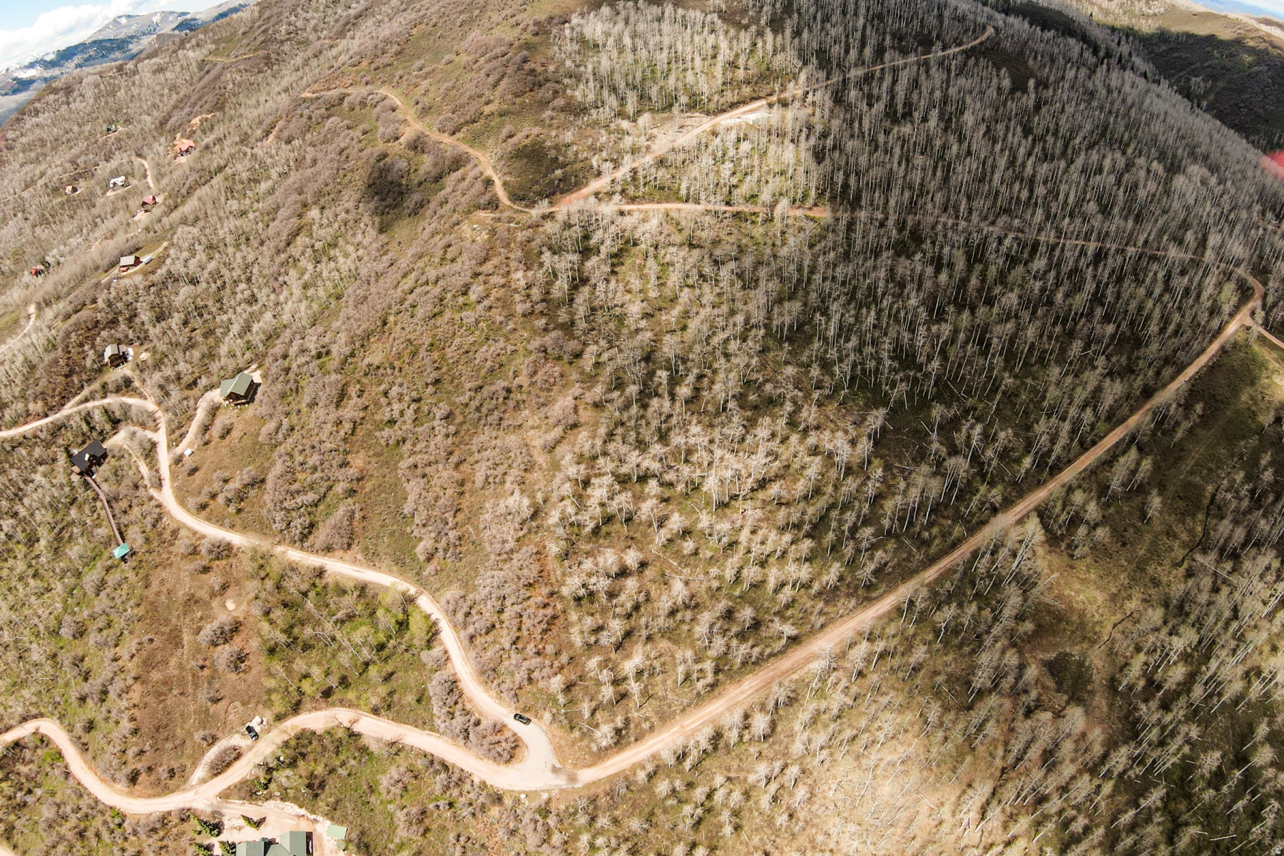 CANYON RIM - Land